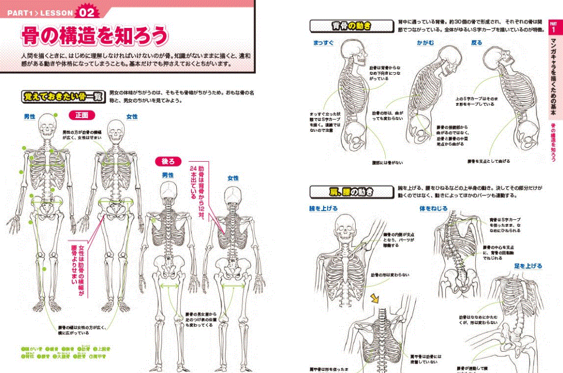 360° Any angle perfect master! Manga Character Drawing Guide - Image 4