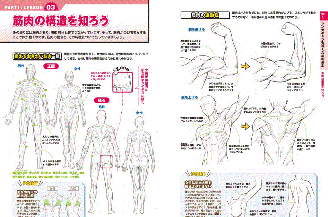 360° Any angle perfect master! Manga Character Drawing Guide - Image 5