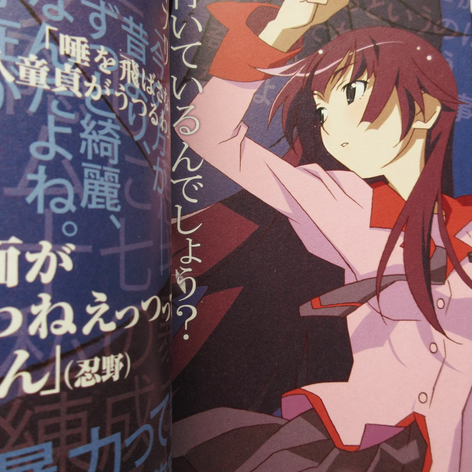 Bakemonogatari Anime Complete Guide Book - Image 4