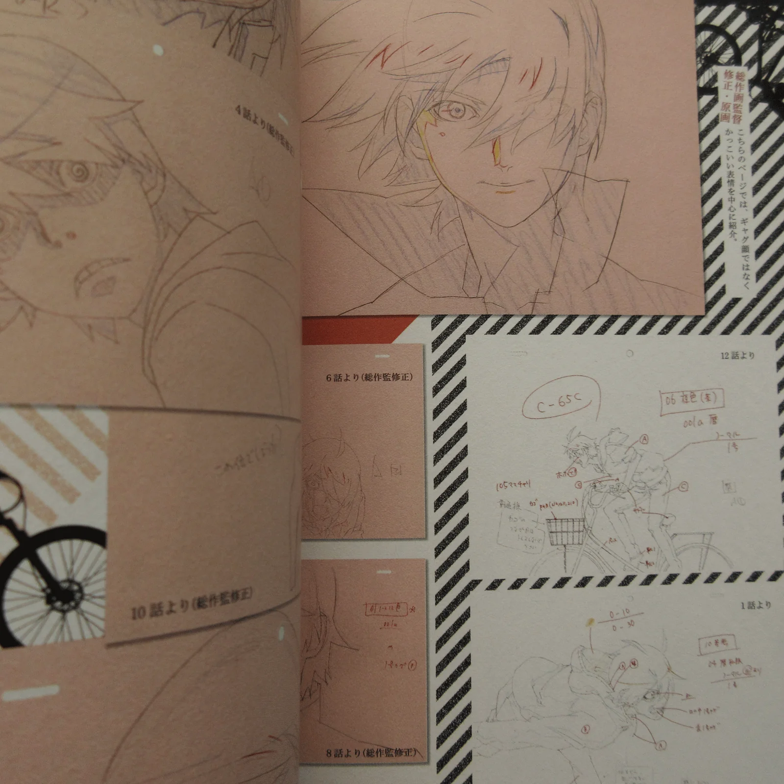 Bakemonogatari Anime Complete Guide Book - Image 5
