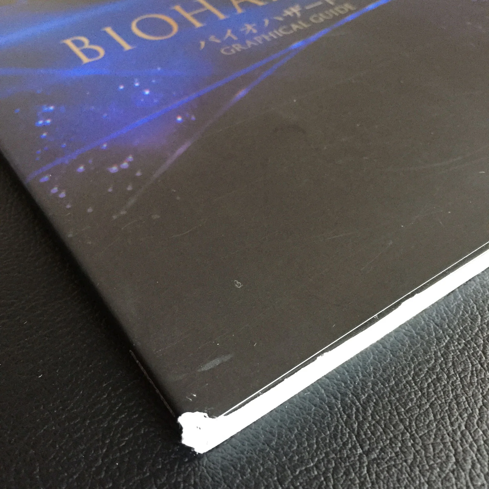 BIOHAZARD 6 (Resident Evil) Graphical Guide - Image 3