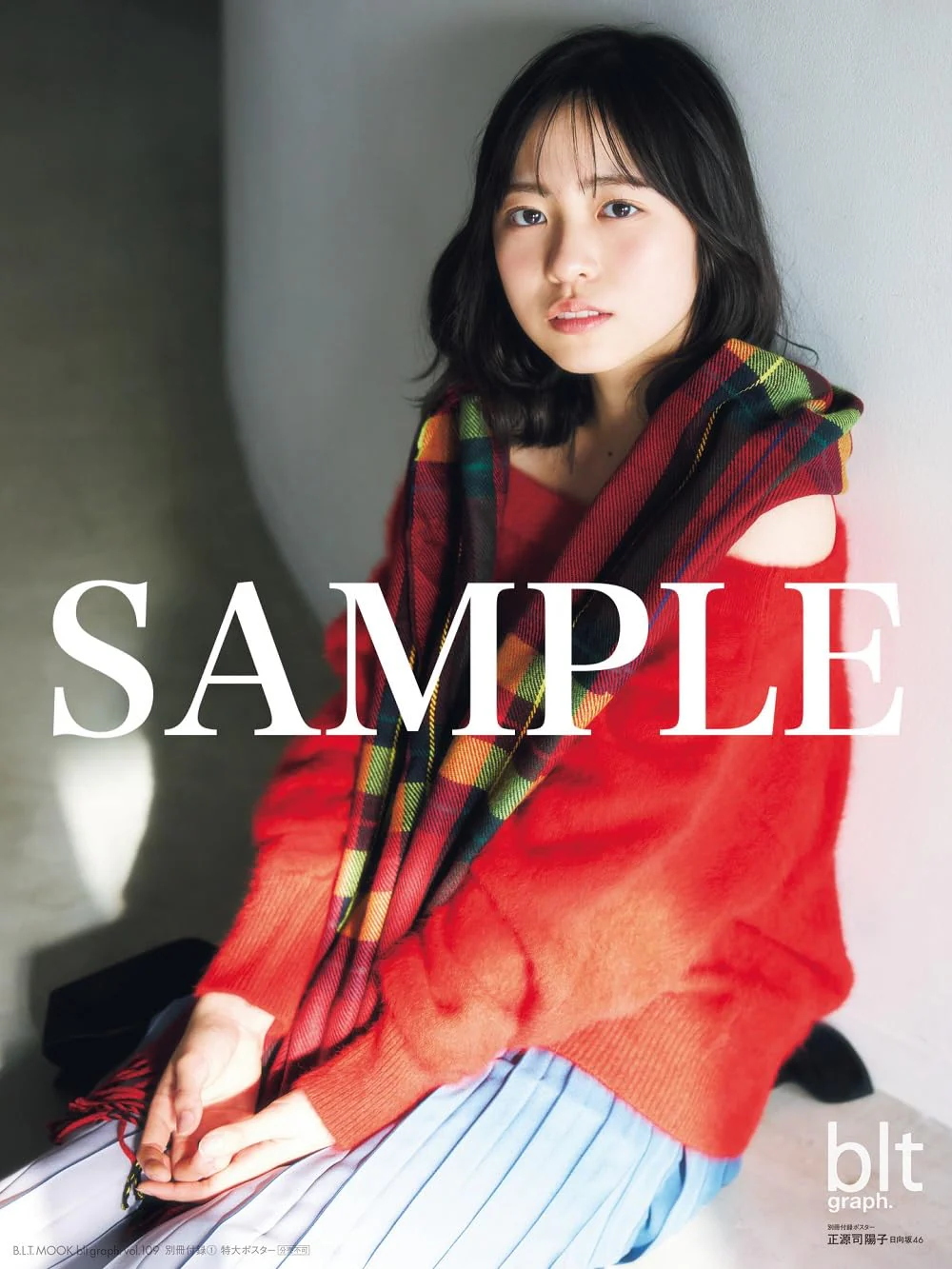 blt graph.vol.109 - Image 4