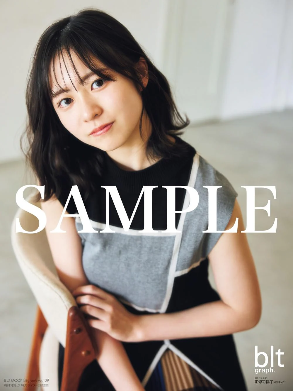 blt graph.vol.109 - Image 5