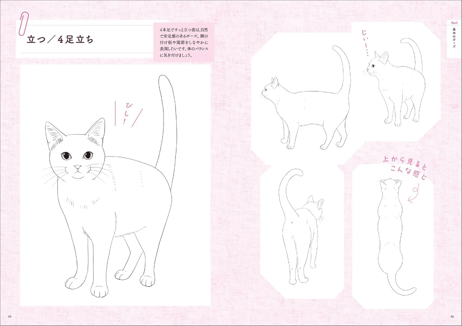 Cat Pose Illustrations - Image 3