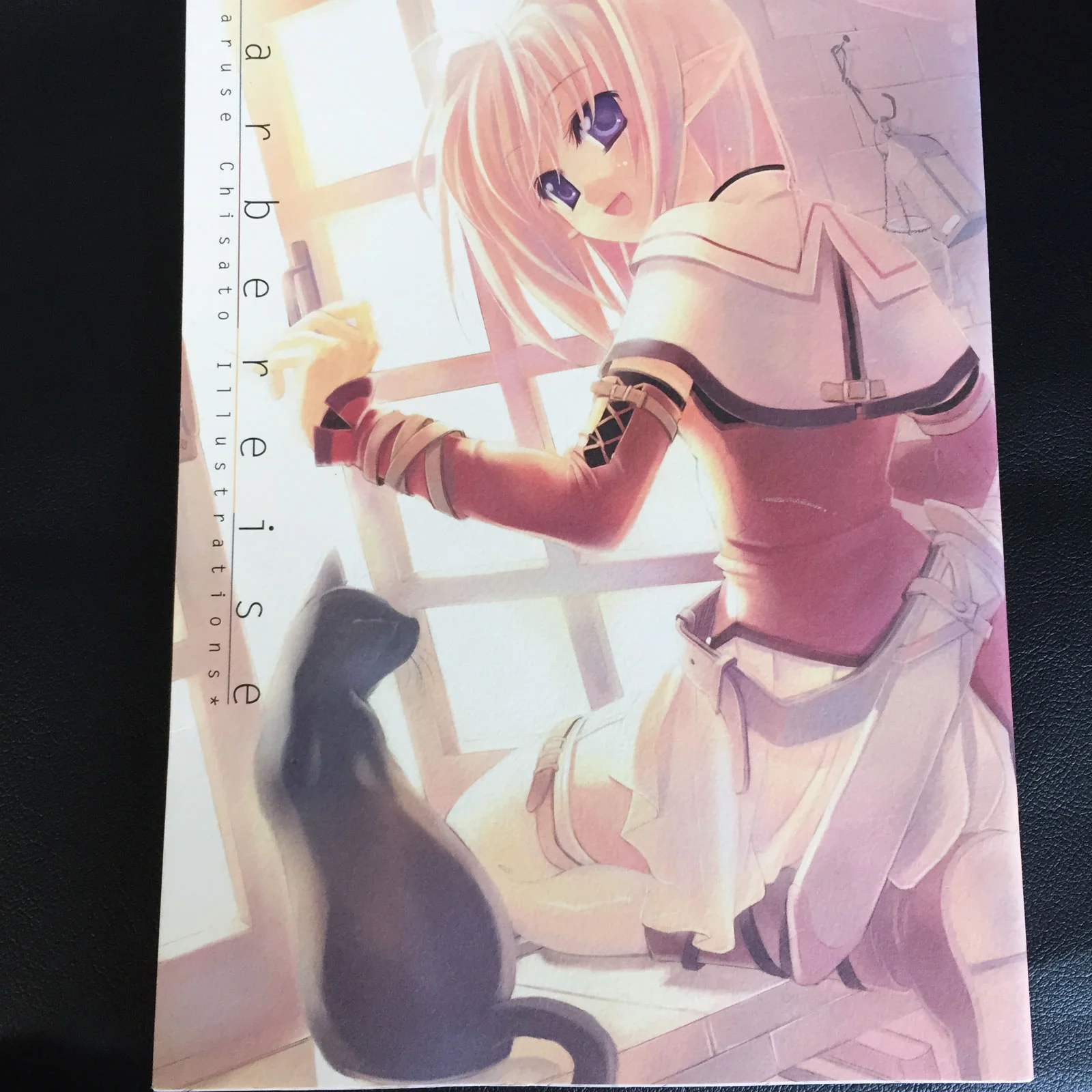 Chisato Naruse Illustrations Farbereise