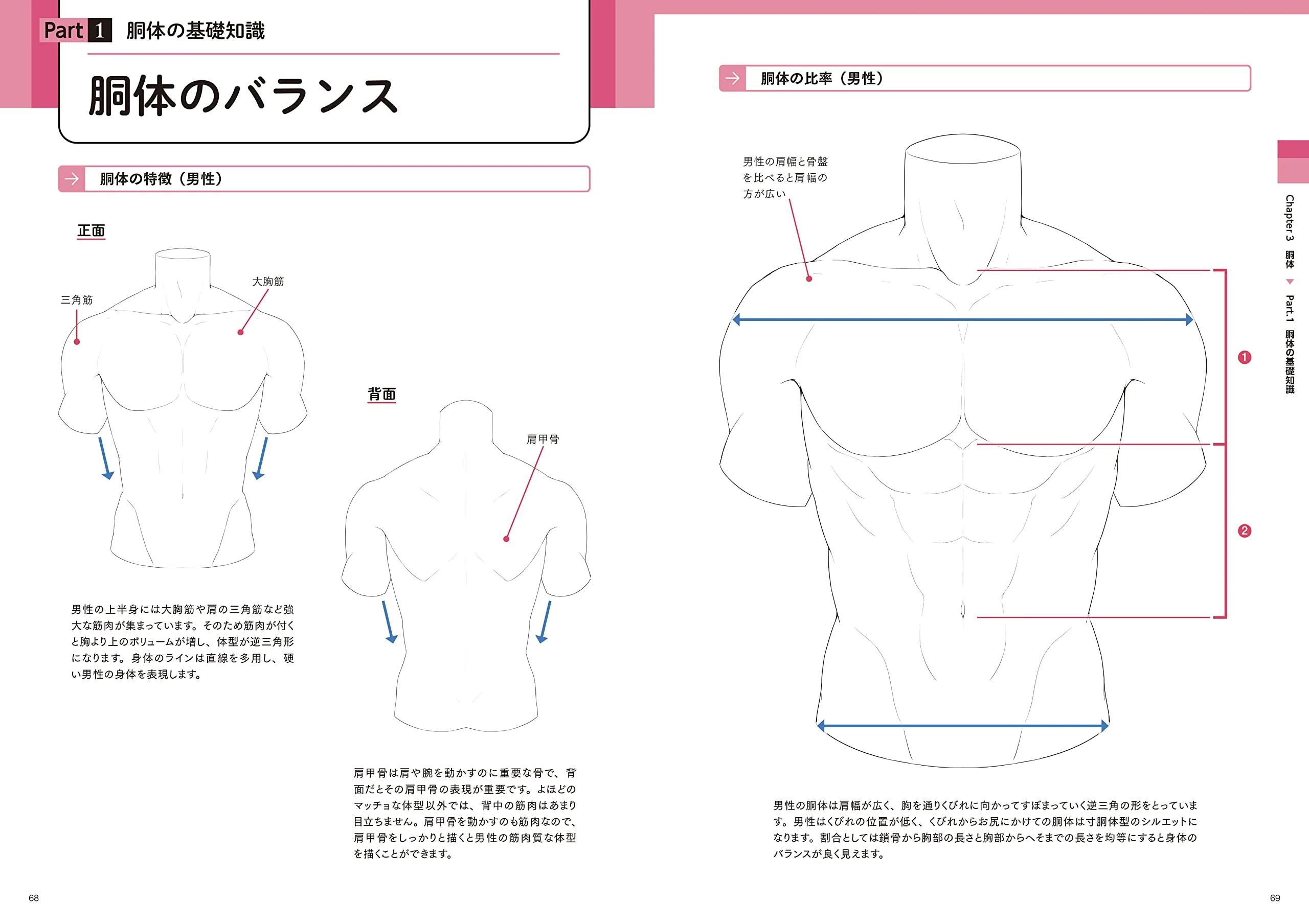 Create the best illustrations! How to draw an attractive "body" - Image 2