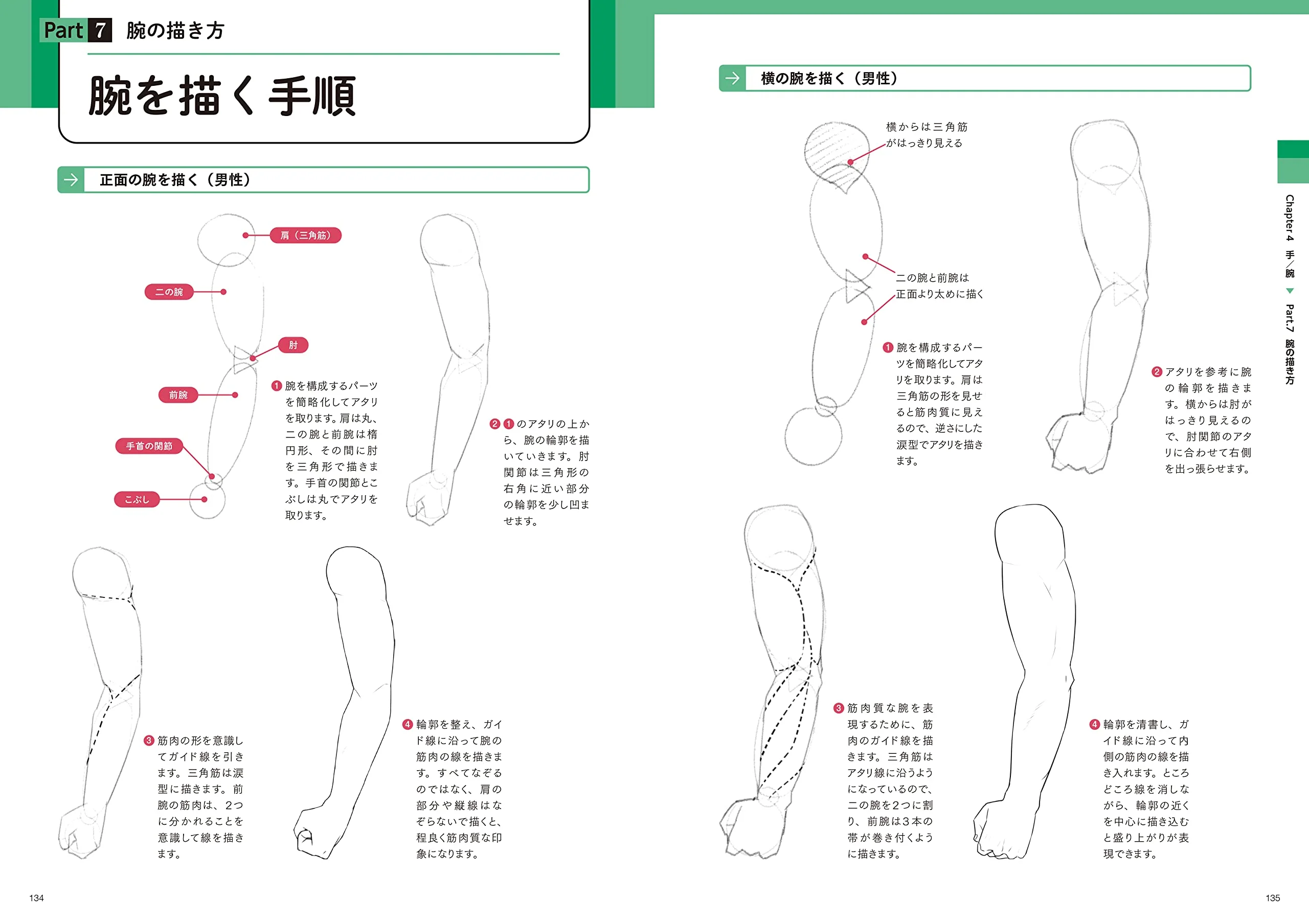 Create the best illustrations! How to draw an attractive "body" - Image 4