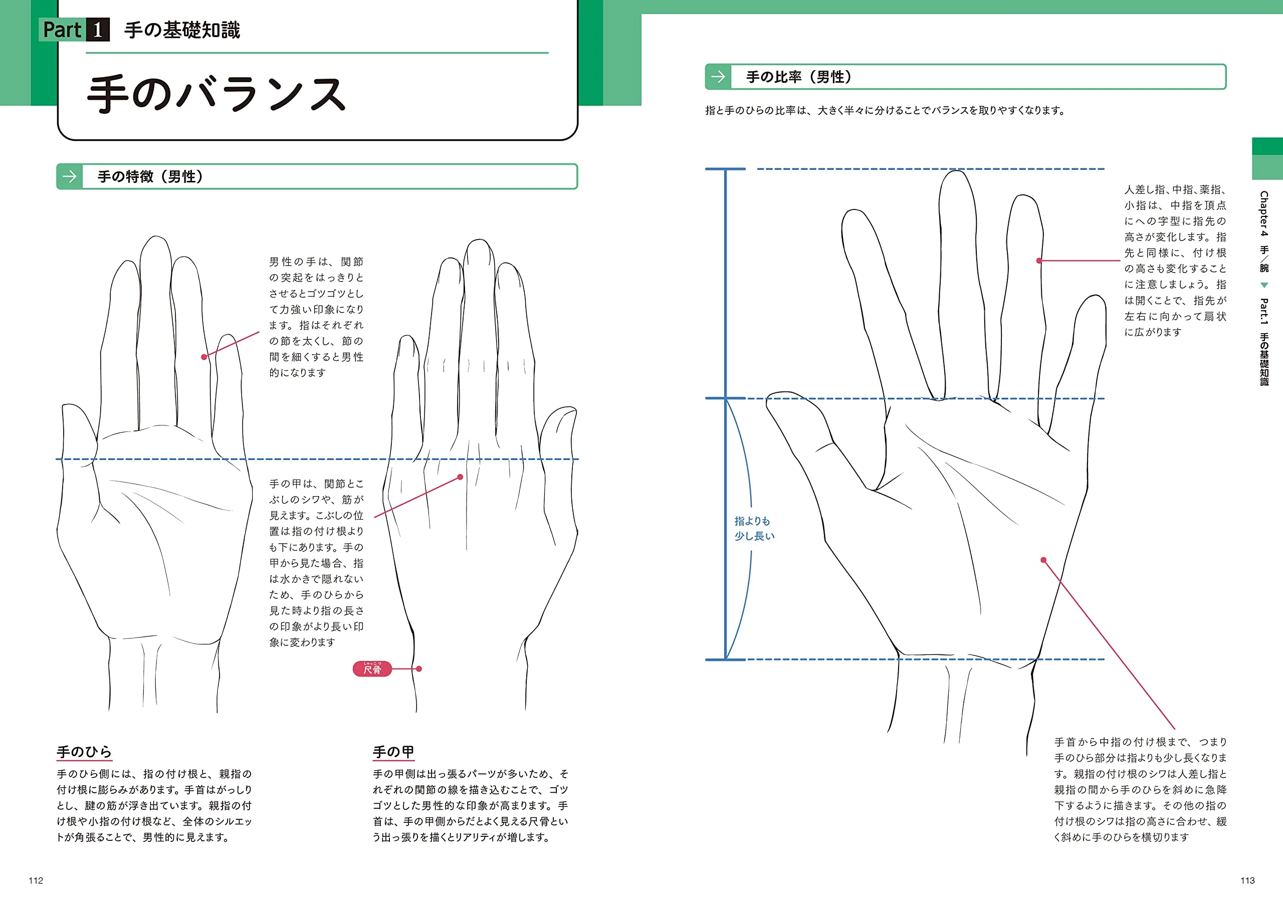 Create the best illustrations! How to draw an attractive "body" - Image 9
