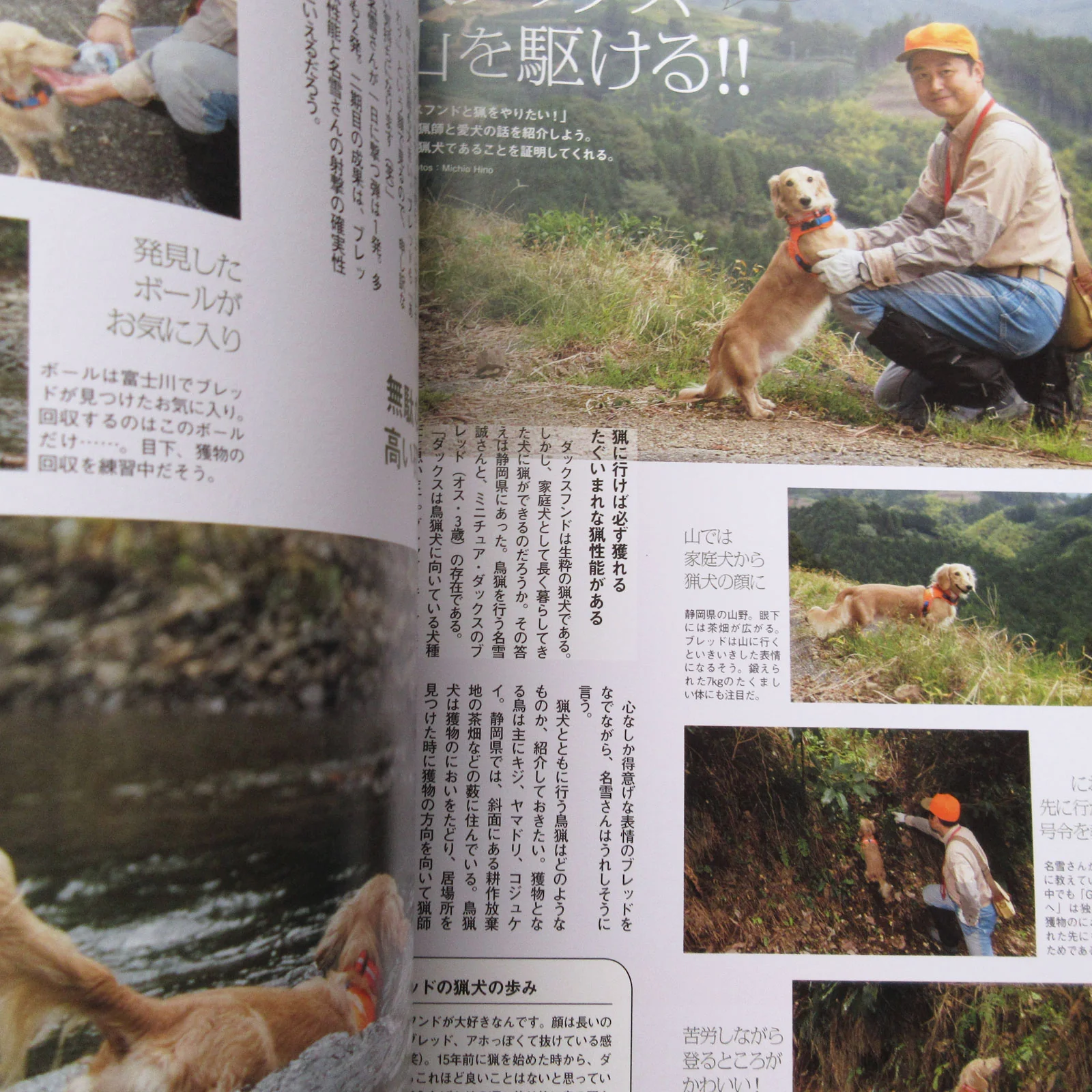 Dachs Style Vol.25 - Image 11