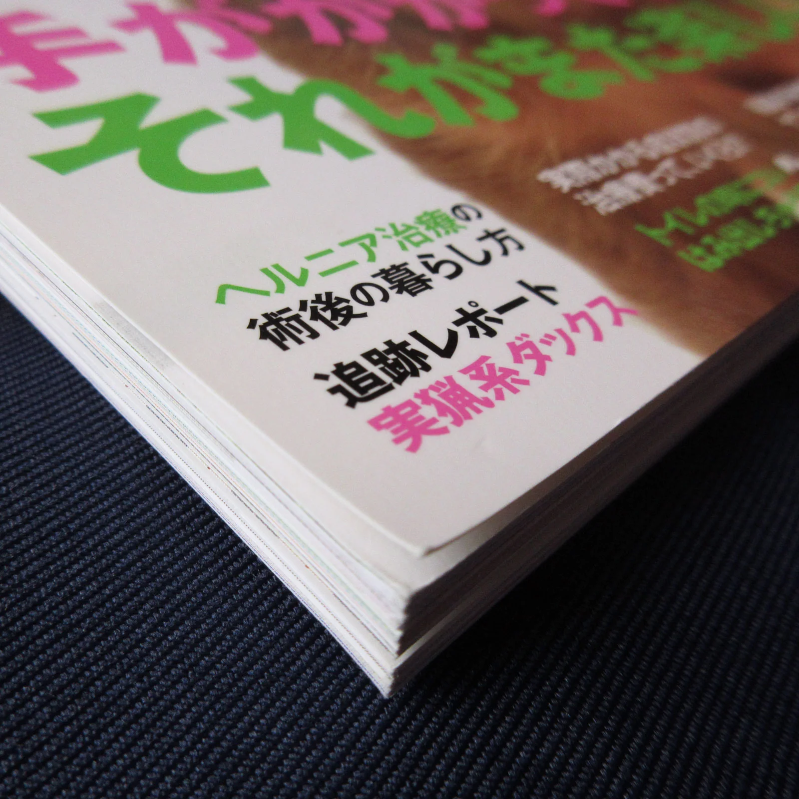 Dachs Style Vol.25 - Image 2