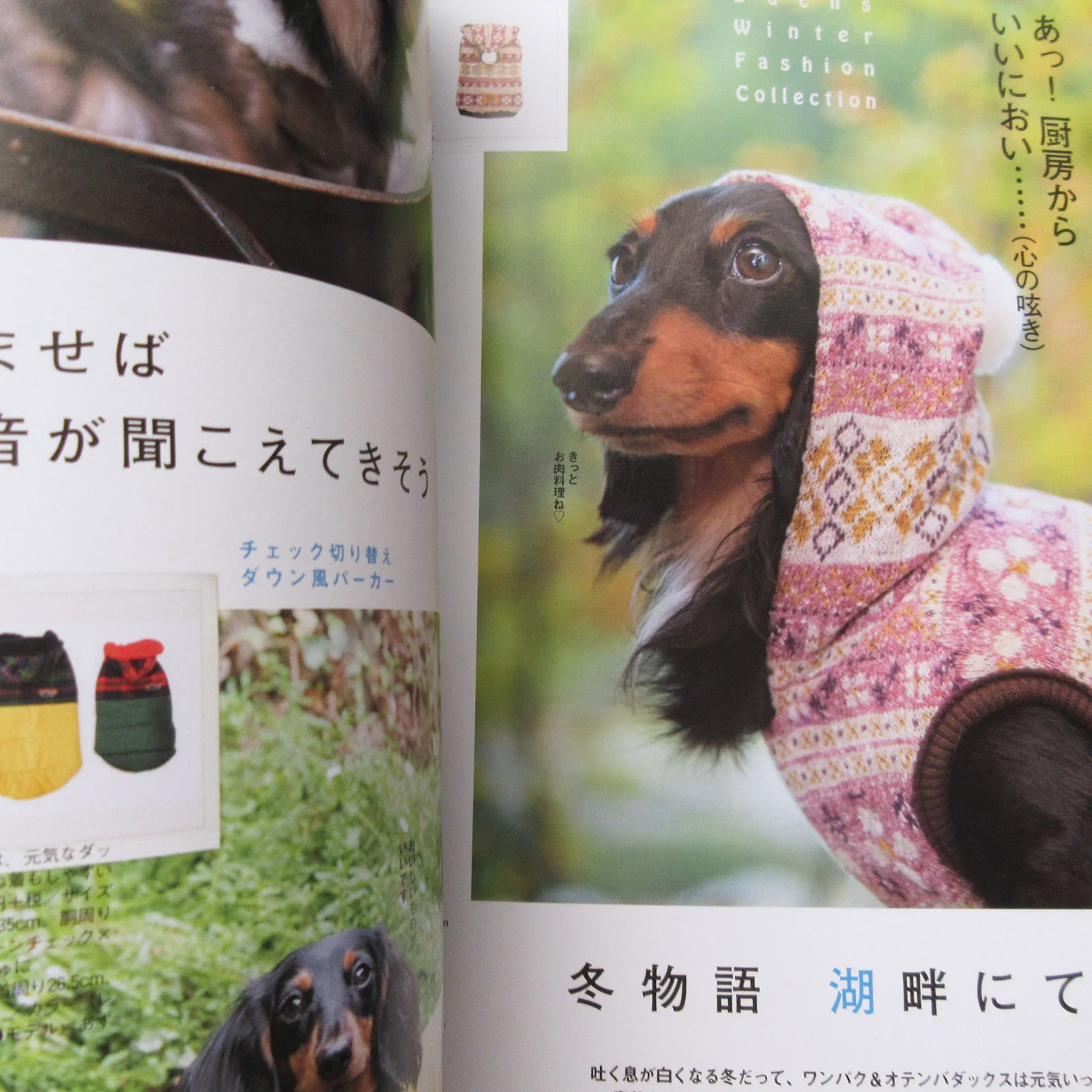 Dachs Style Vol.25 - Image 5