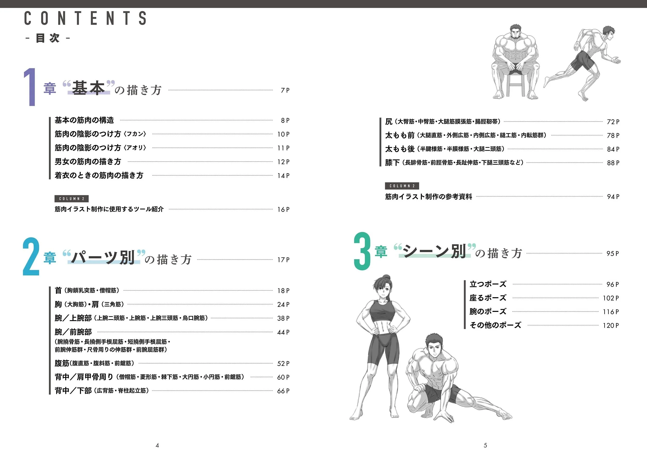 Draw muscles! Understand structure by body part - Image 5