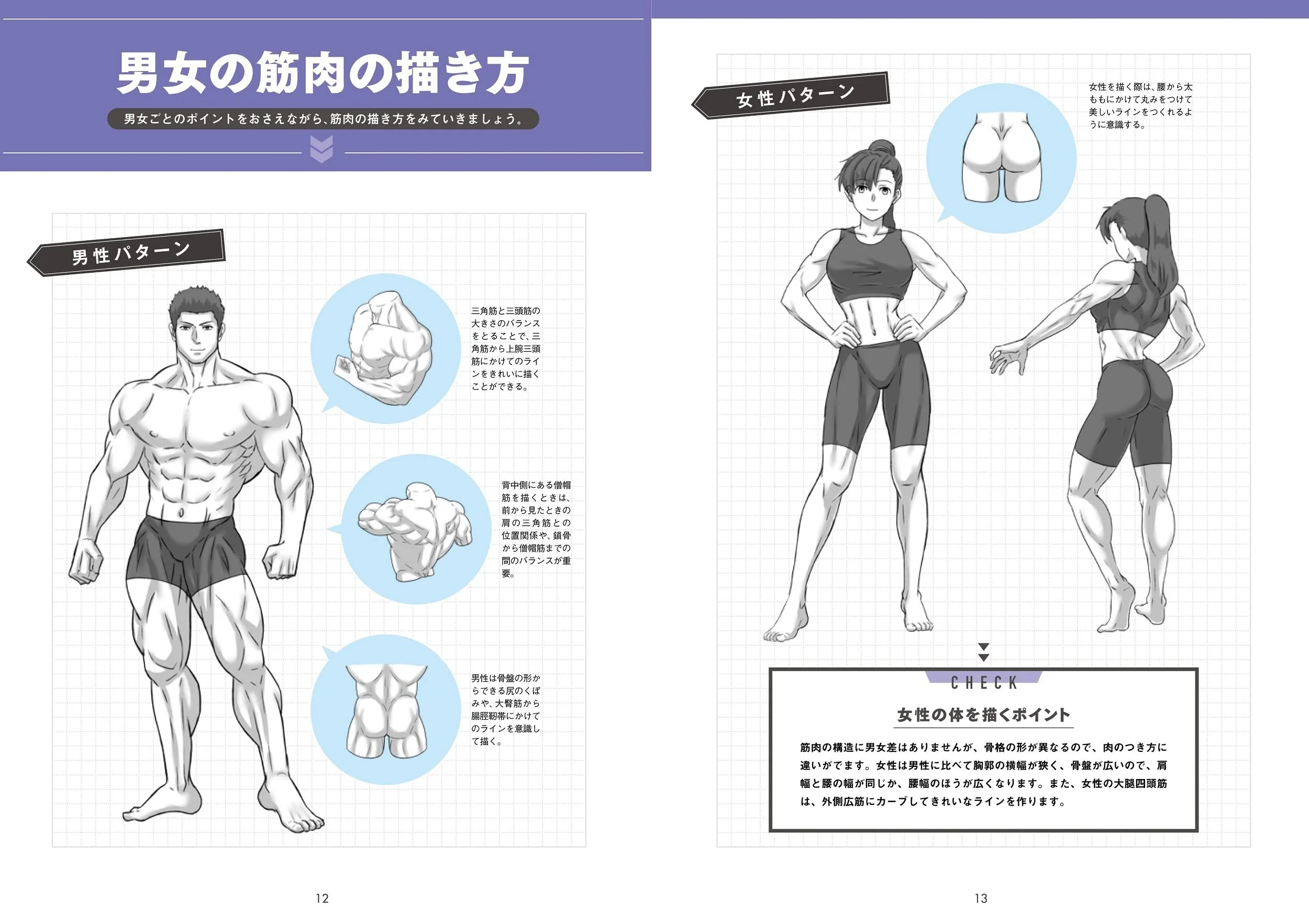 Draw muscles! Understand structure by body part - Image 6