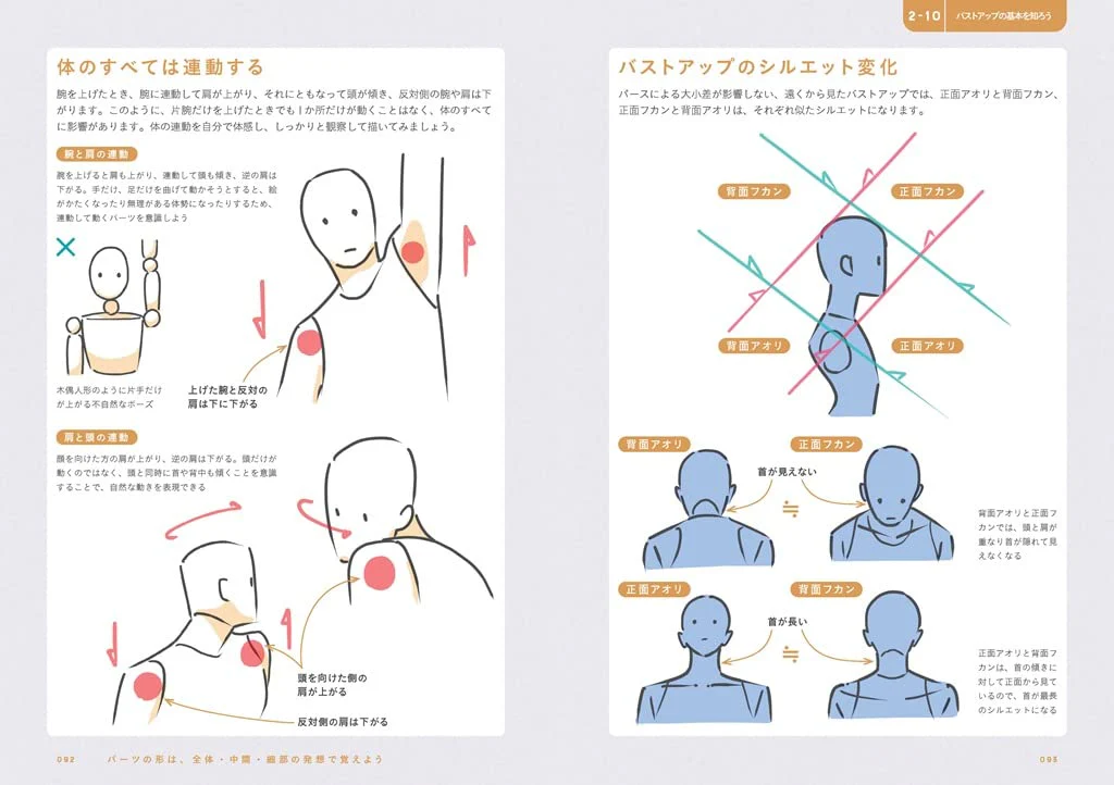 Easy face drawing technique with the strongest 3 steps - Image 3