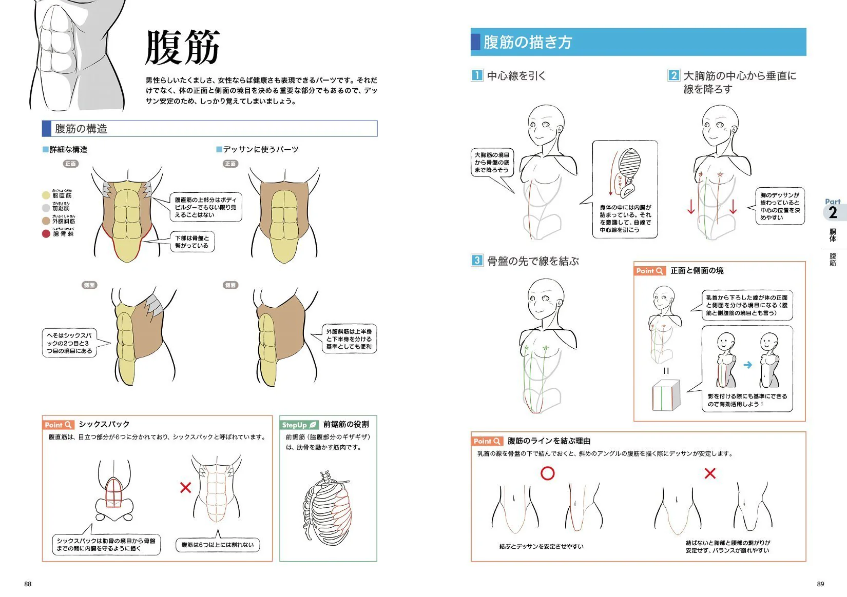 Digital Illustration "Body" Drawing Encyclopedia - Image 2