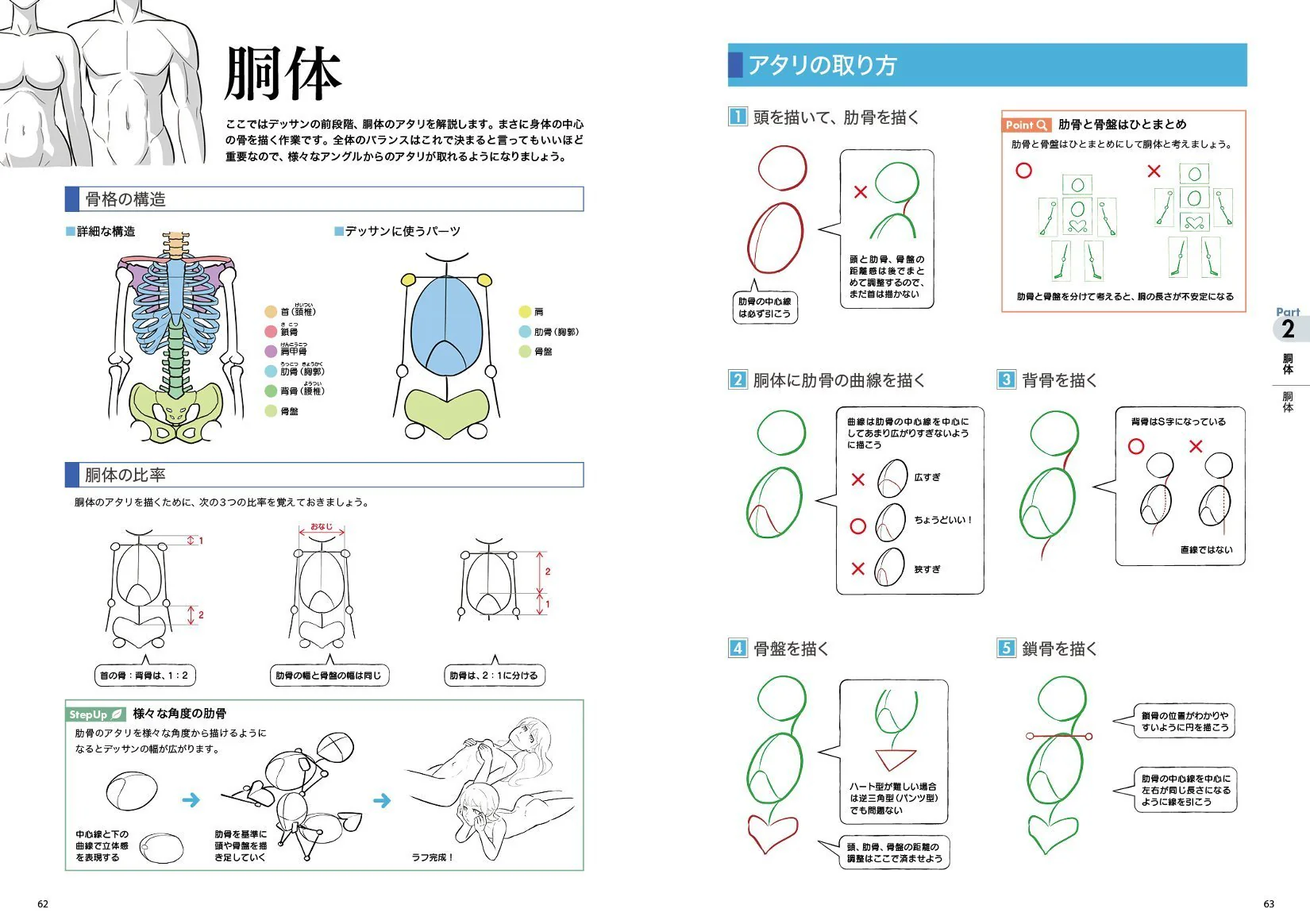 Digital Illustration "Body" Drawing Encyclopedia - Image 3