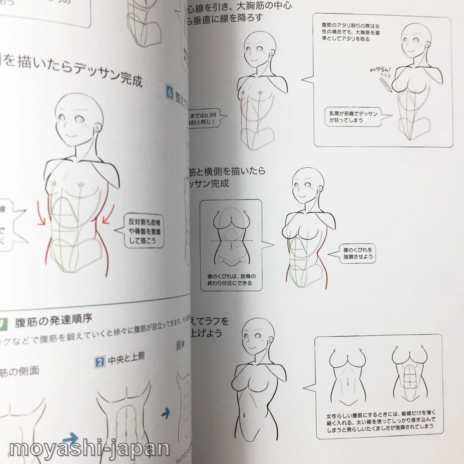 Digital Illustration "Body" Drawing Encyclopedia - Image 7