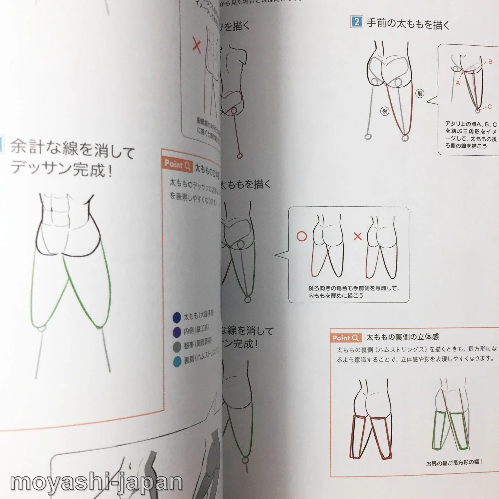 Digital Illustration "Body" Drawing Encyclopedia - Image 8