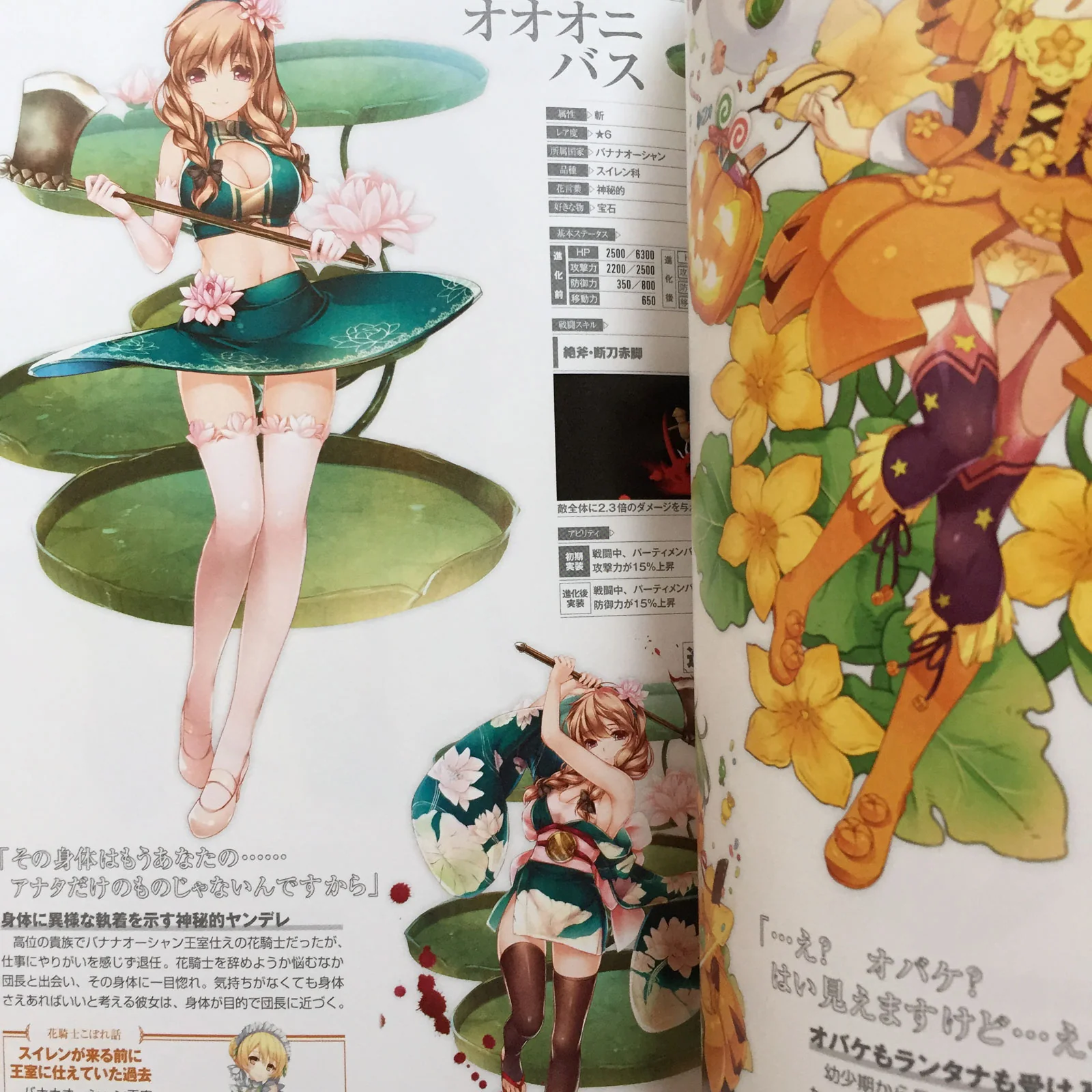 FLOWER KNIGHT GIRL Character Collection Book - Image 6