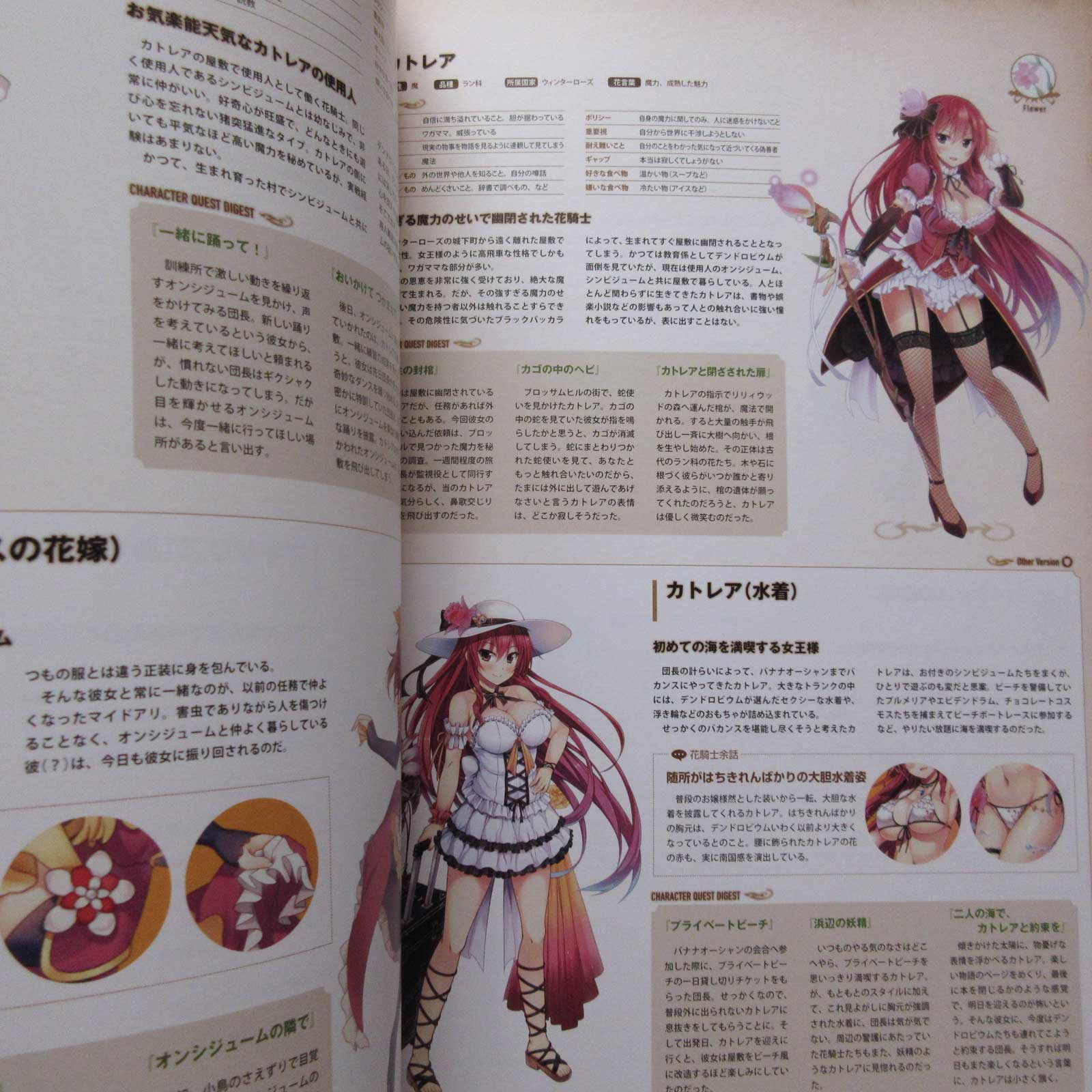 Flower Knight Girl World and Character Guide - Image 4