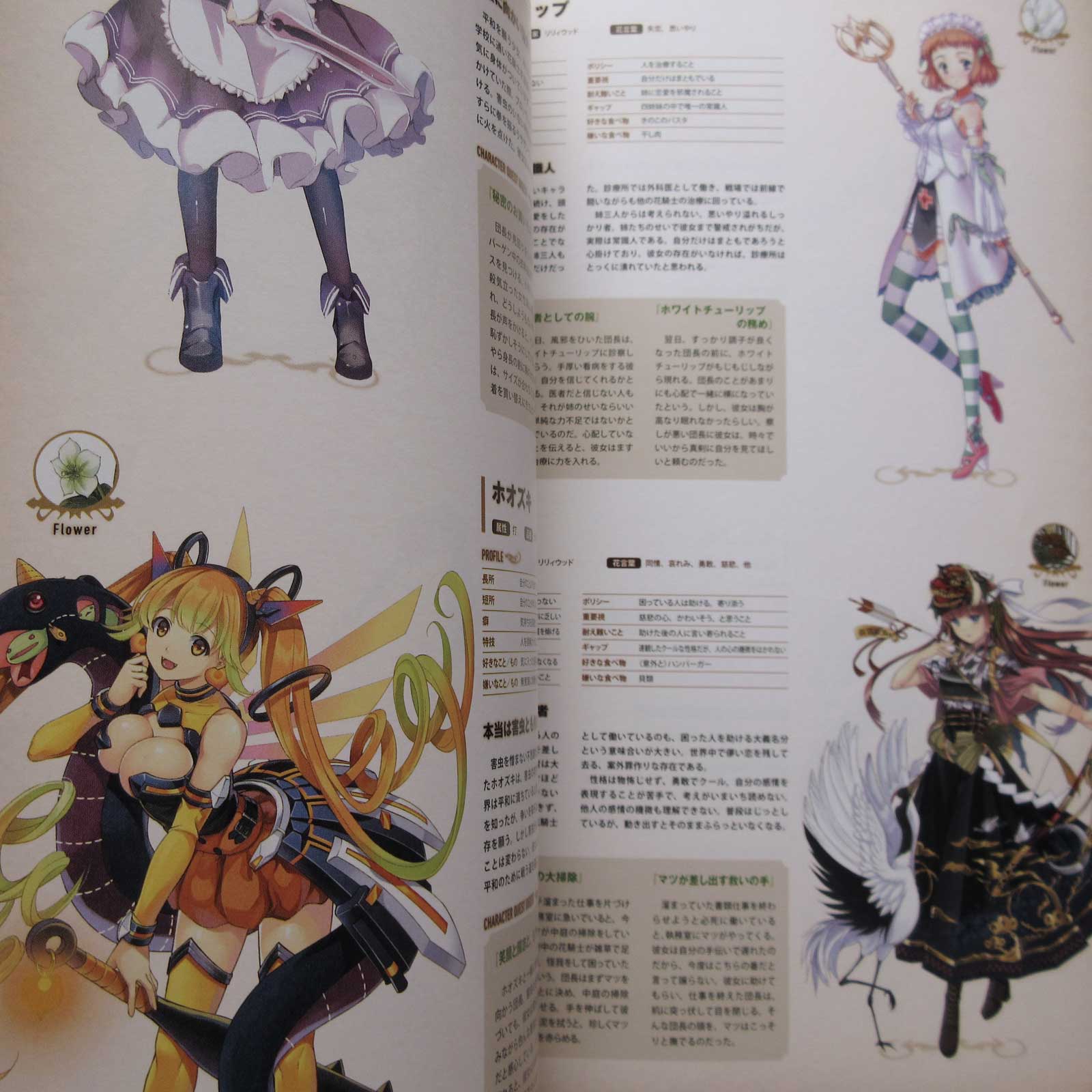 Flower Knight Girl World and Character Guide - Image 8