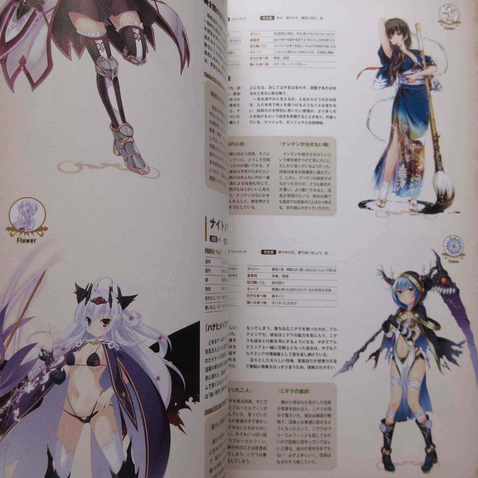 Flower Knight Girl World and Character Guide - Image 9
