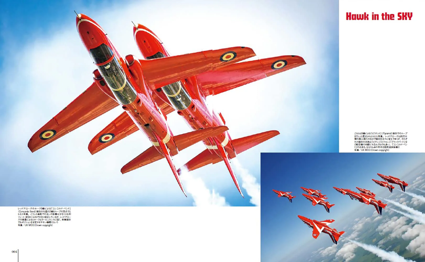HAWK /ALPHA JET  Military Aircraft of the World - Image 3