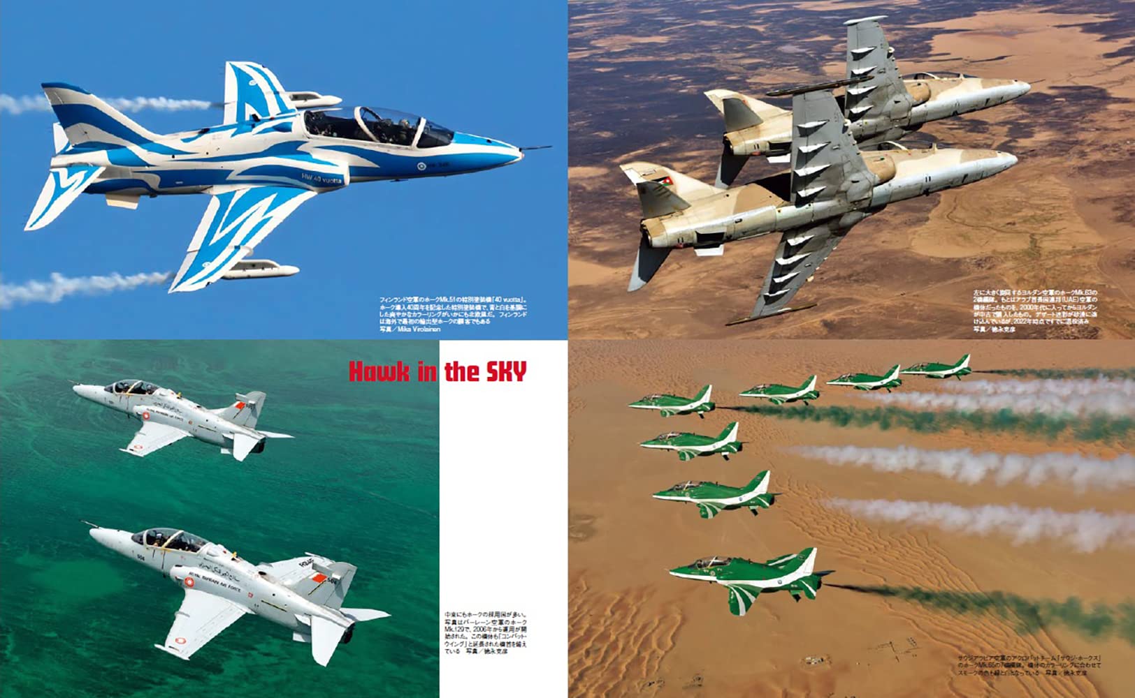 HAWK /ALPHA JET  Military Aircraft of the World - Image 6