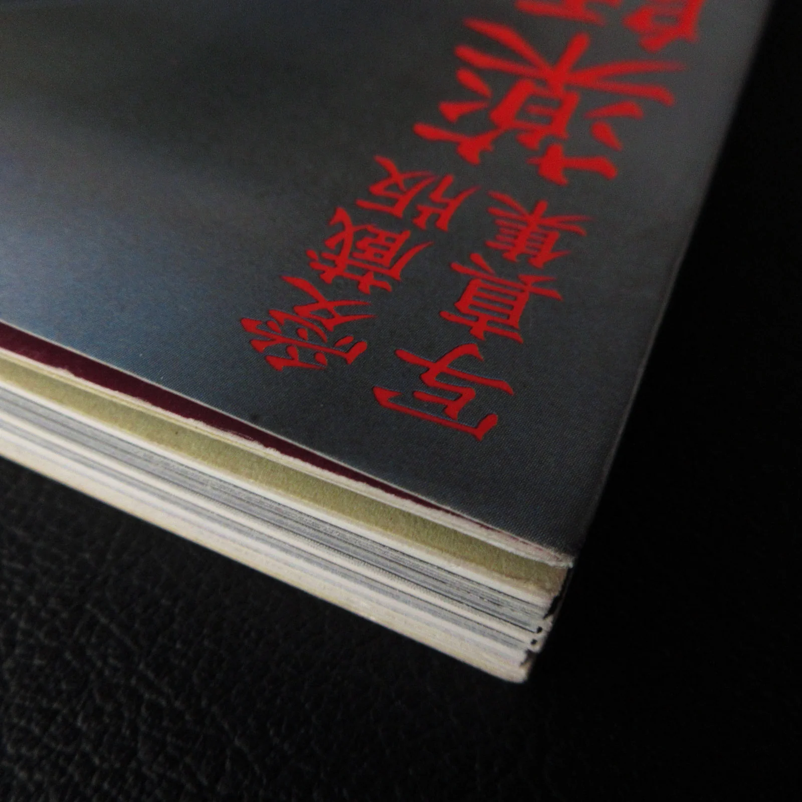 Hiroko Yakushimaru Photo Book "Photomemoir part3" - Image 3