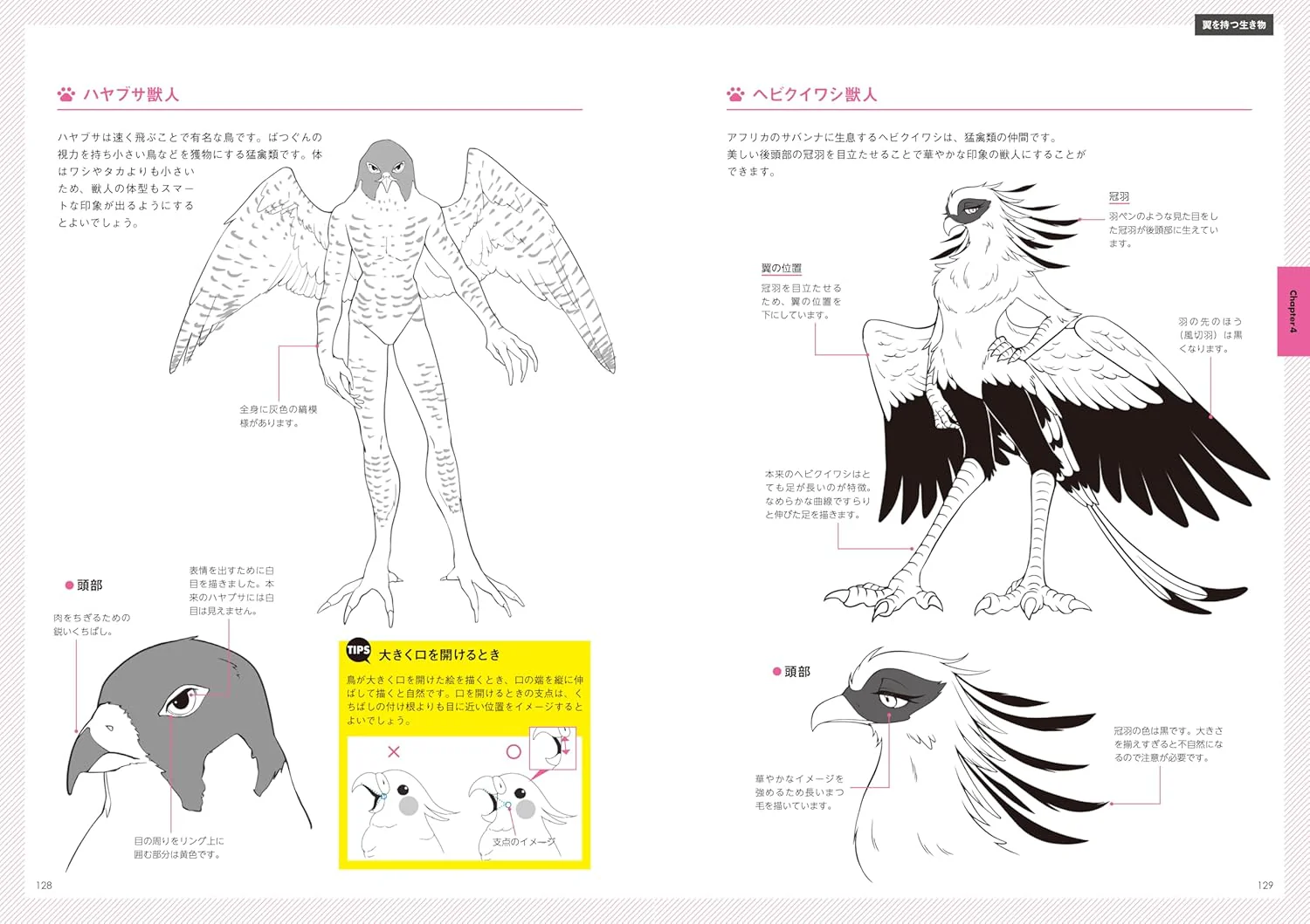 Introduction To Drawing Anthro Character - Image 5