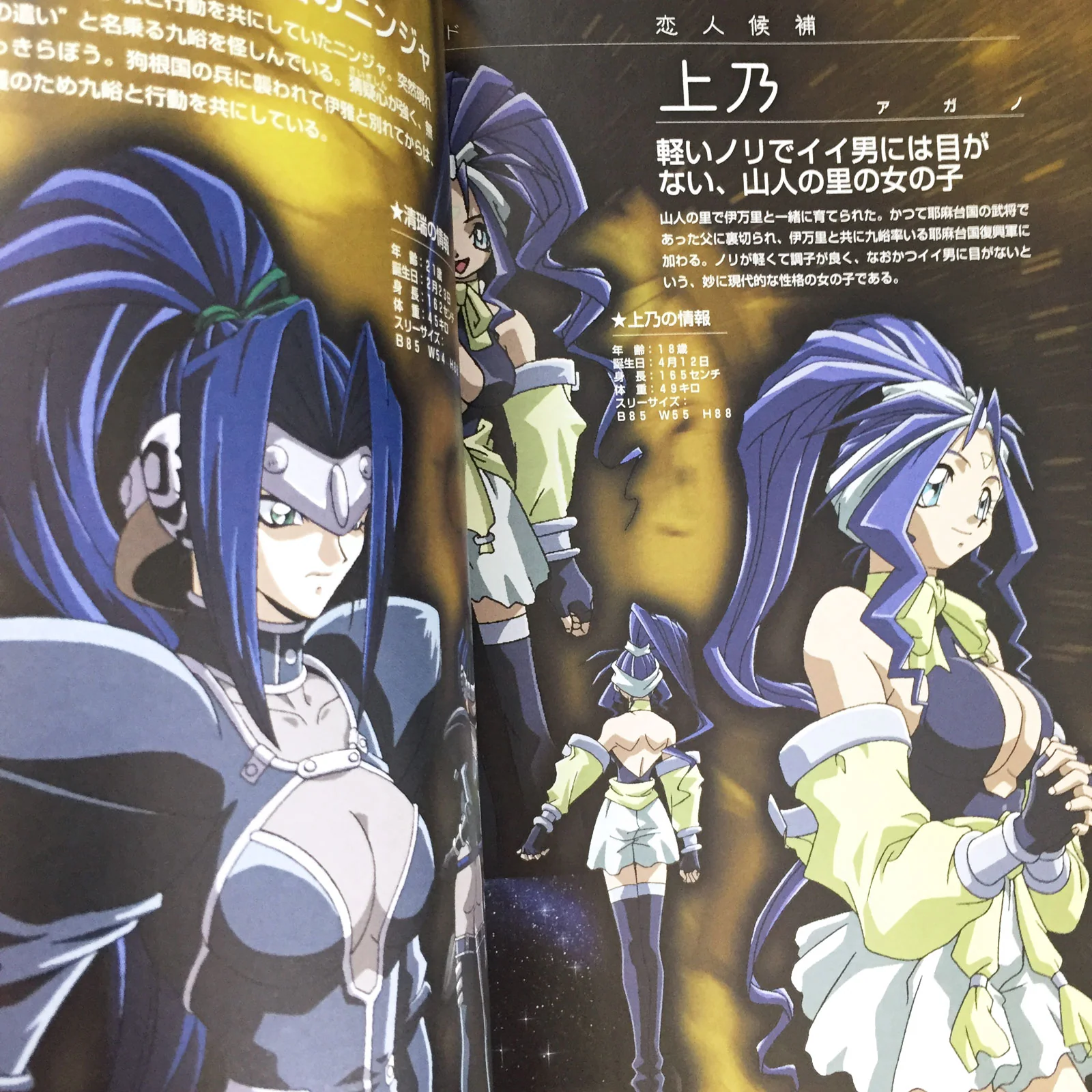 Legend of Himiko (Himiko-Den) World & Character Guide - Image 11