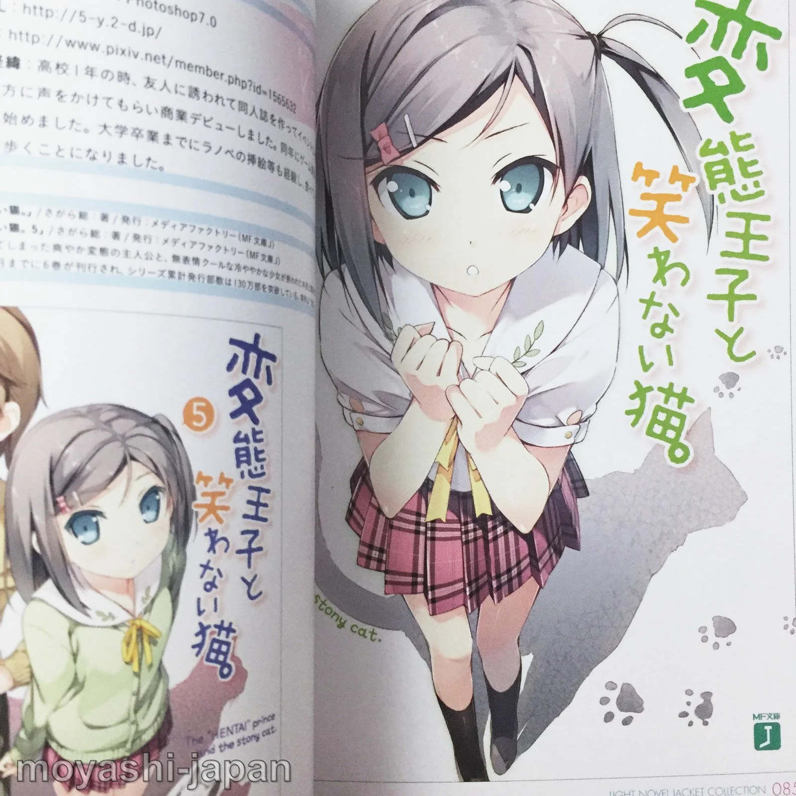 Light Novel Jacket Collection - Image 10