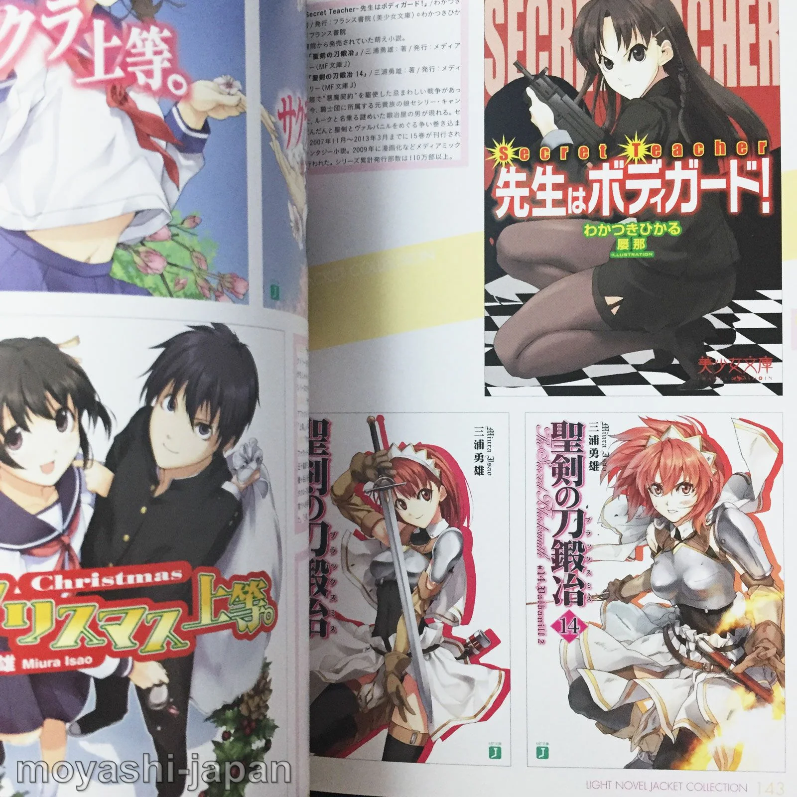 Light Novel Jacket Collection - Image 6