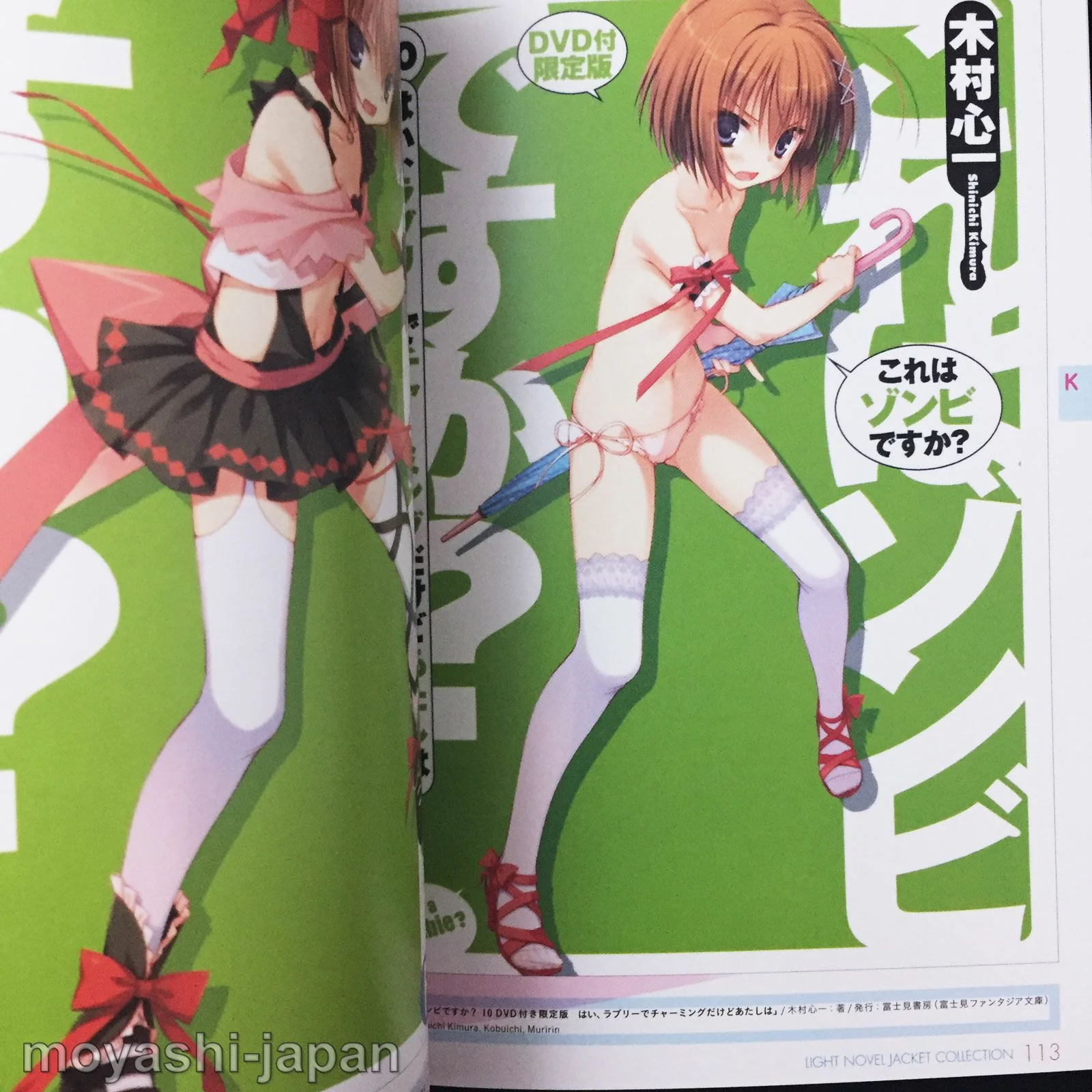 Light Novel Jacket Collection - Image 8