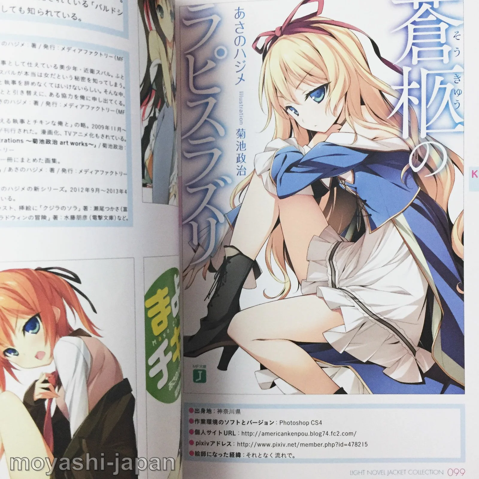 Light Novel Jacket Collection - Image 9