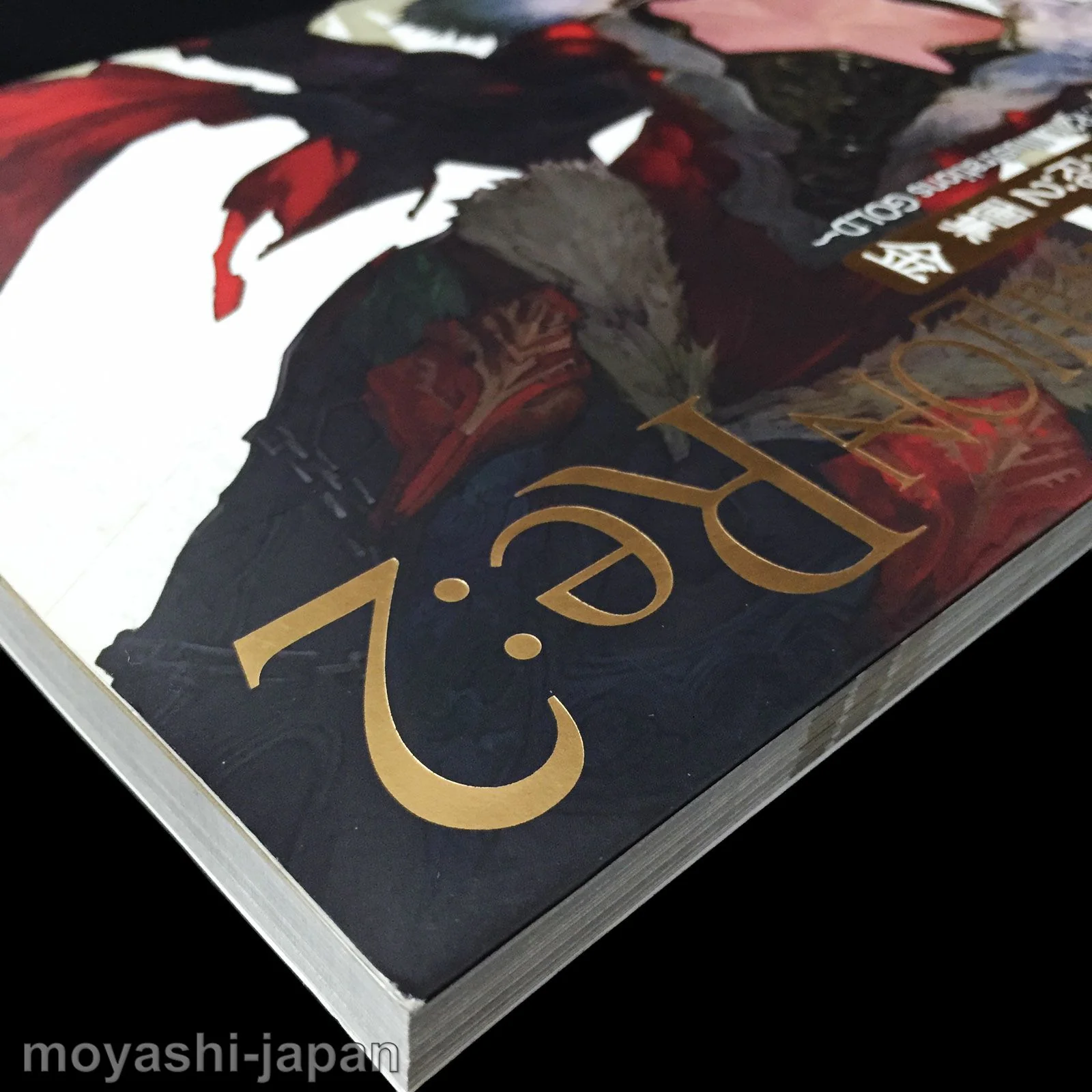 LORD of VERMILION Re:2 Ver.R2.0 Art Book GOLD - Image 3