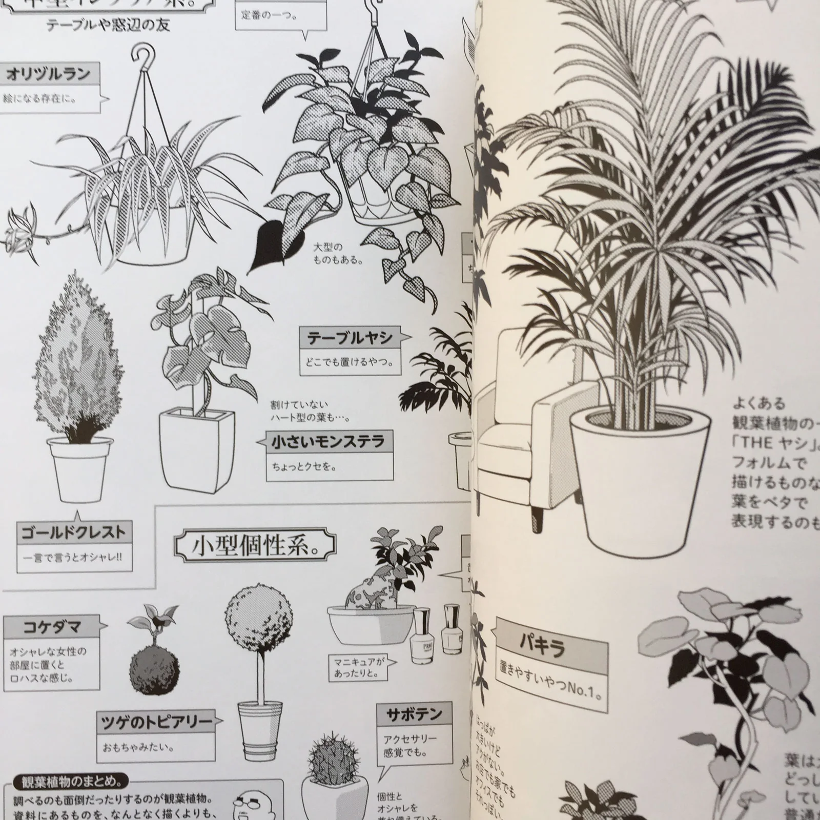 MAEDAX Haikei Moe - Image 7