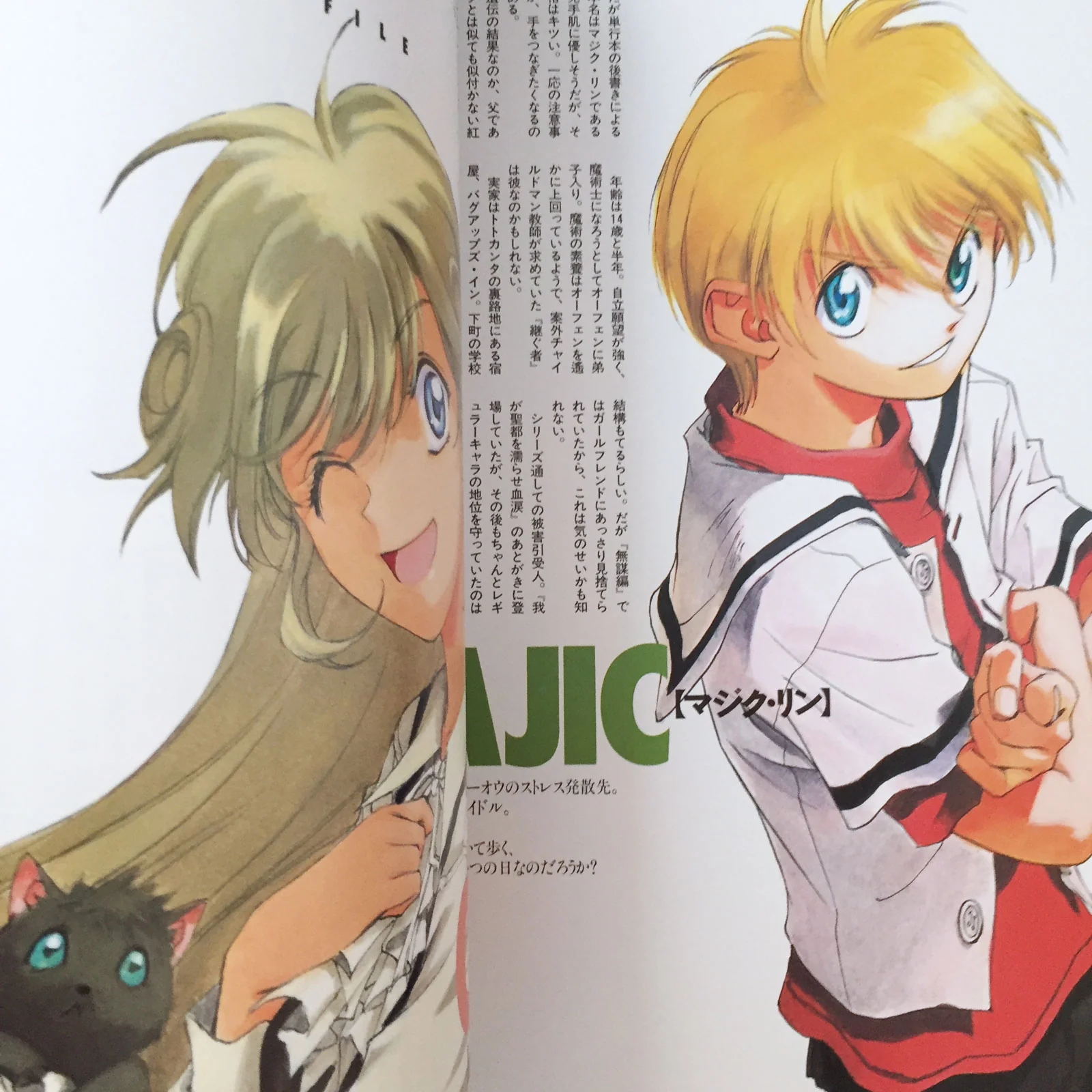 Majutsushi Orphen DX Dragon Magazine Collection - Image 4