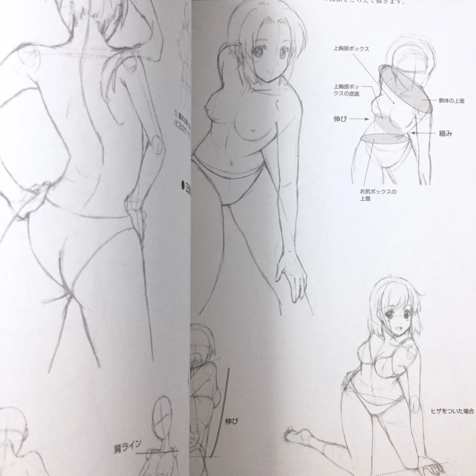 Manga Basic Drawing Female Character - Image 11
