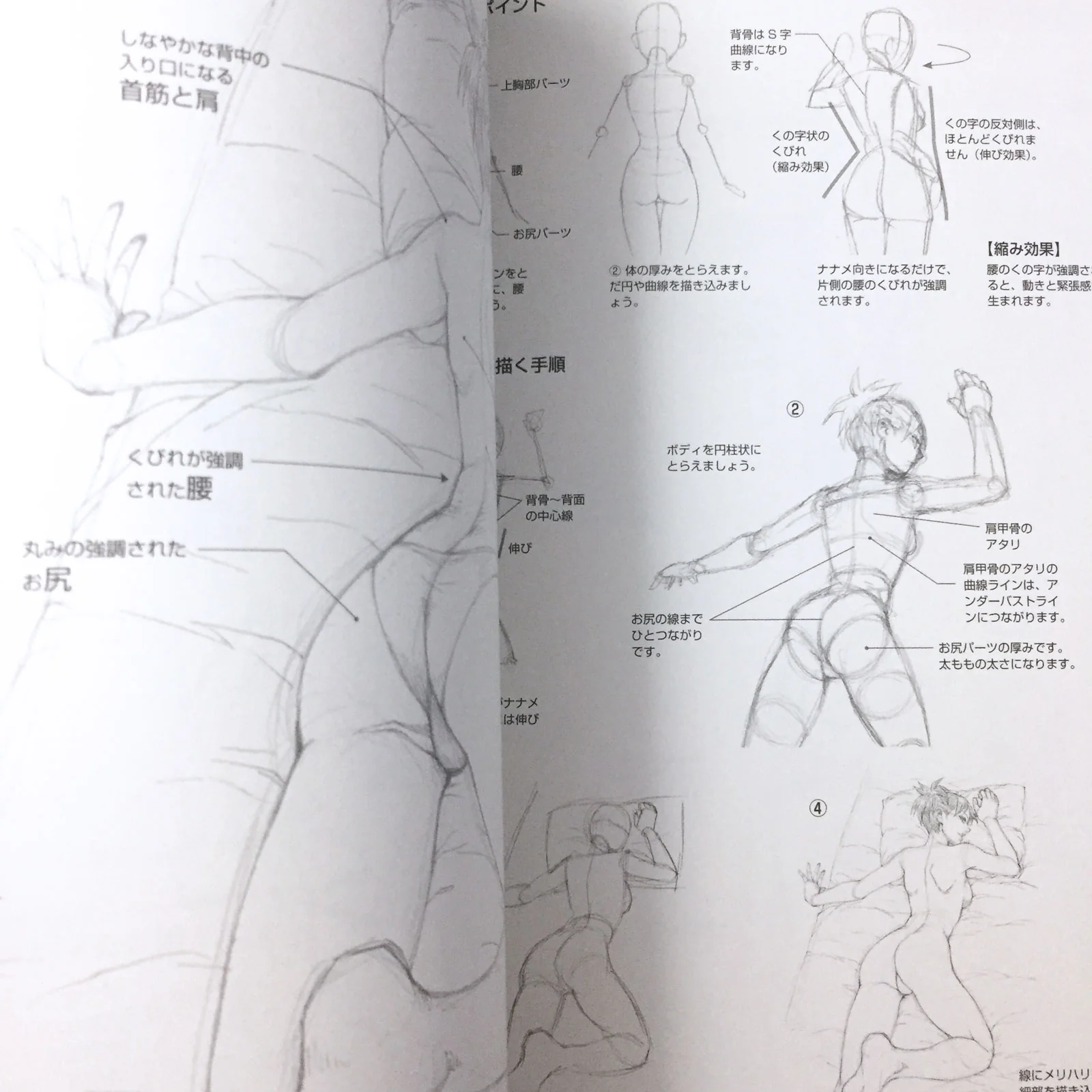 Manga Basic Drawing Female Character - Image 4