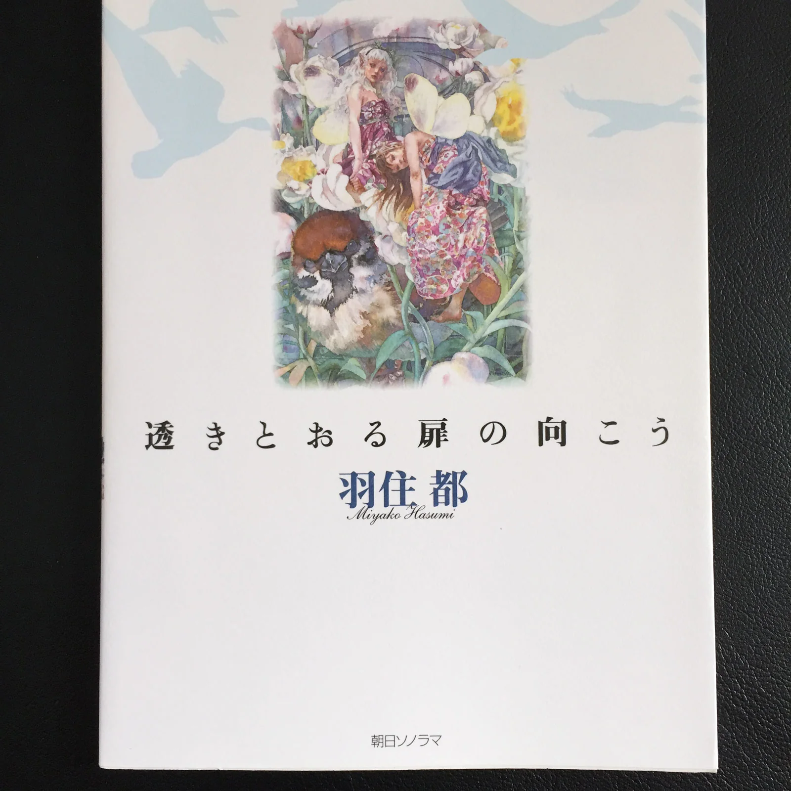 Miyako Hasumi Illustrations