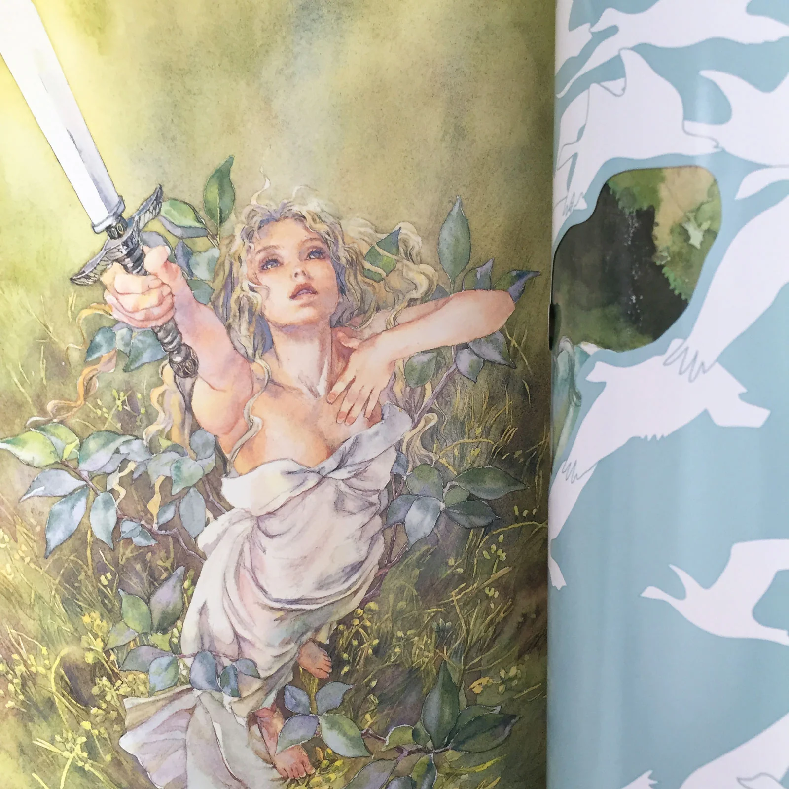 Miyako Hasumi Illustrations - Image 12