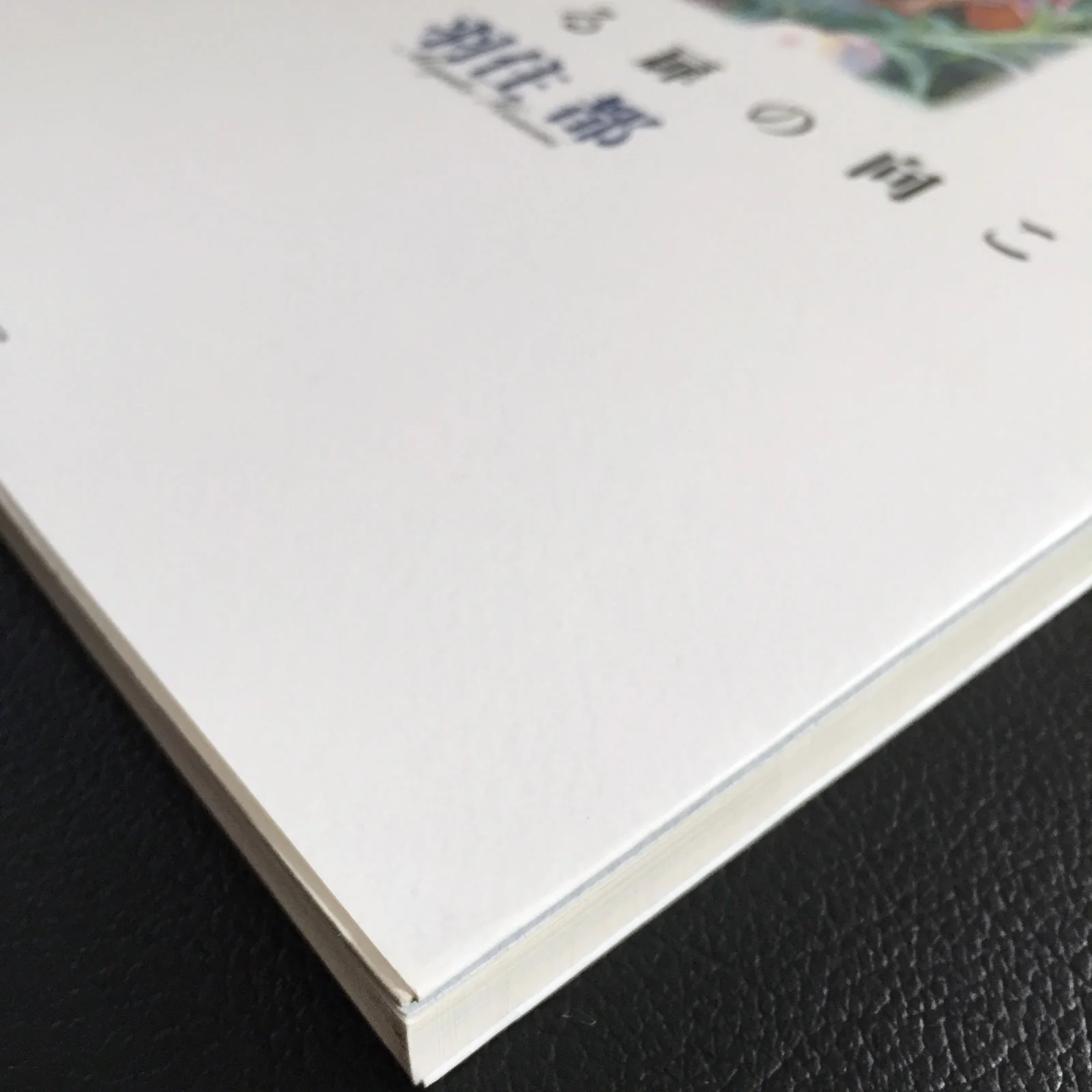 Miyako Hasumi Illustrations - Image 2