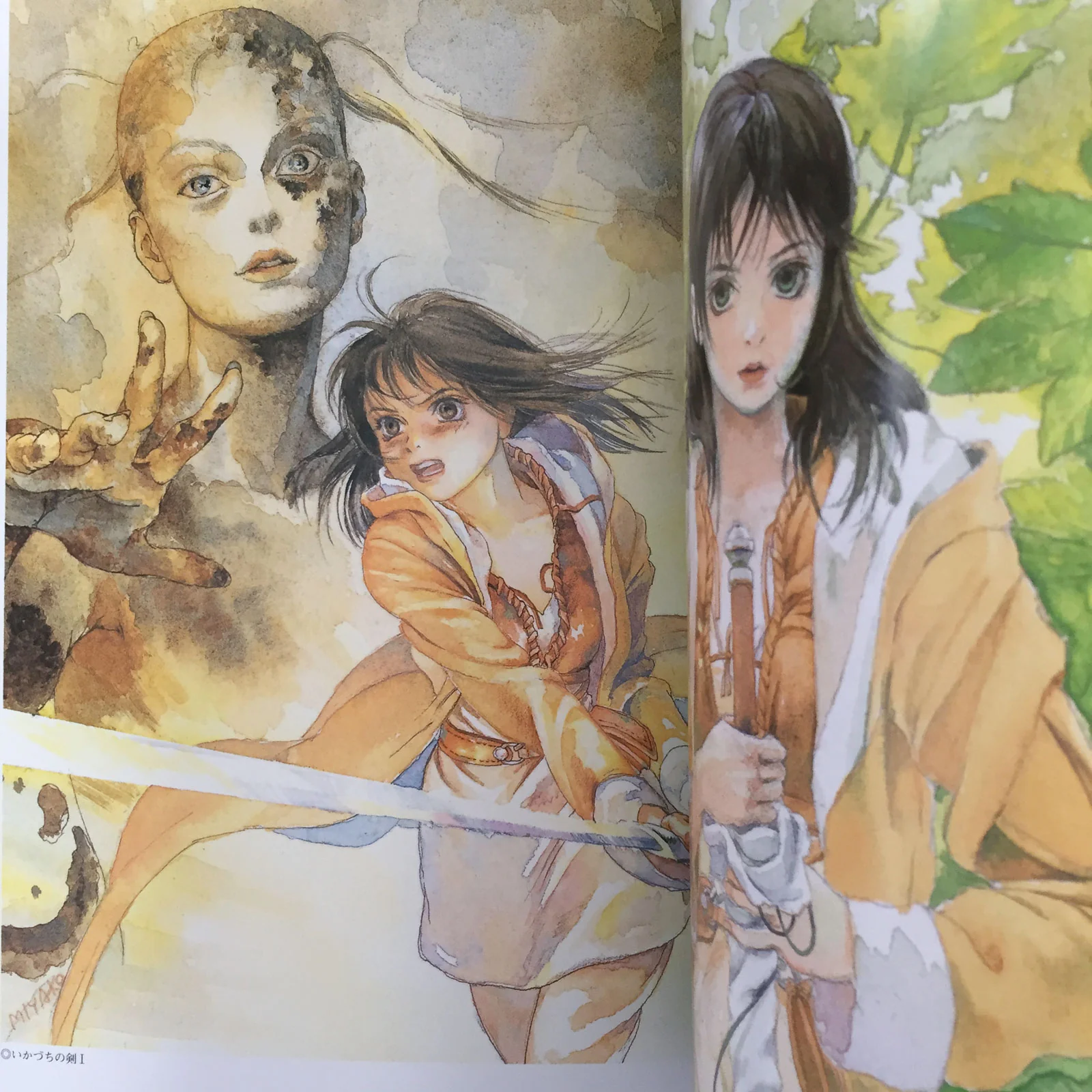 Miyako Hasumi Illustrations - Image 7