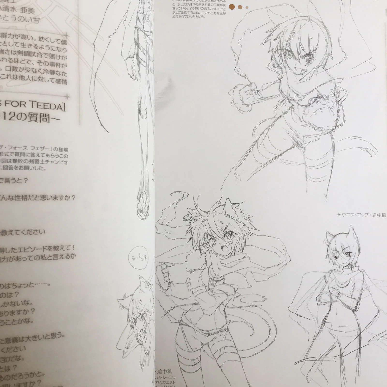 Shining Force Feather Design Works Noizi Ito - Image 11
