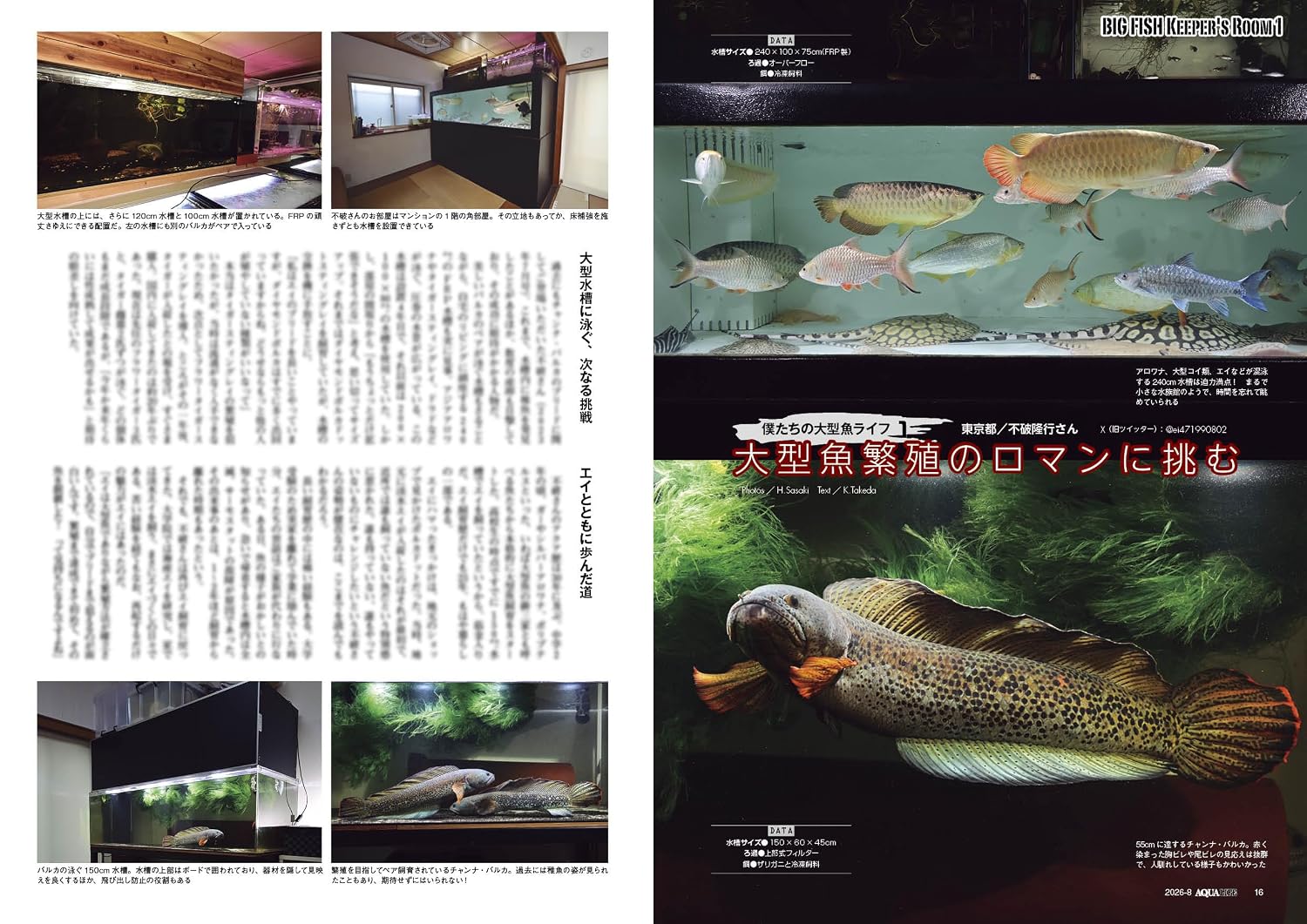 Monthly Aqualife August 2026 - Image 3