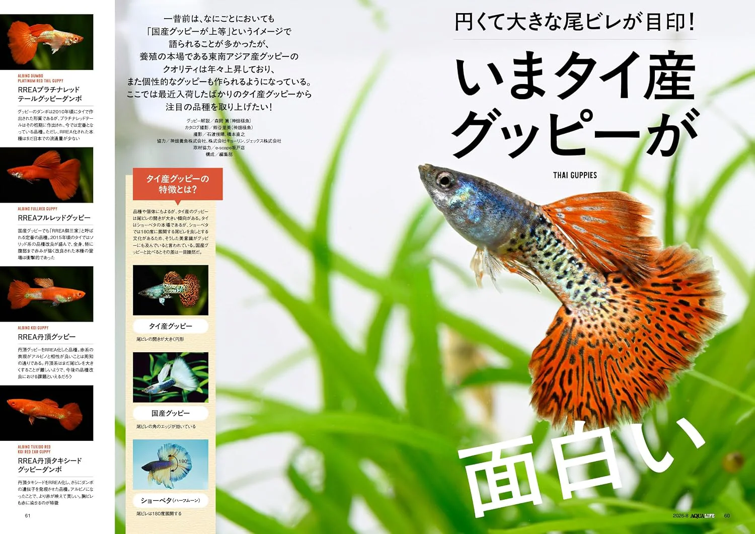 Monthly Aqualife August 2026 - Image 6