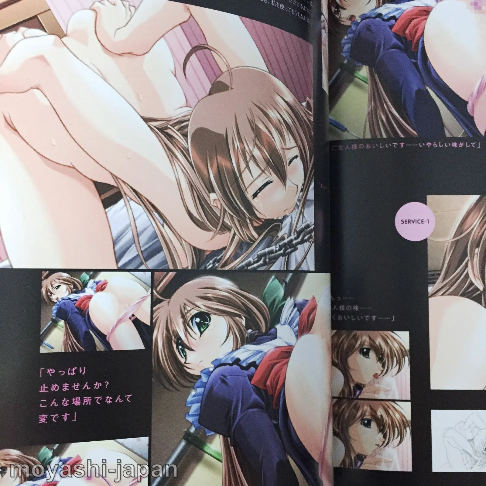 Natural2 DUO Visual Fan Book - Image 7