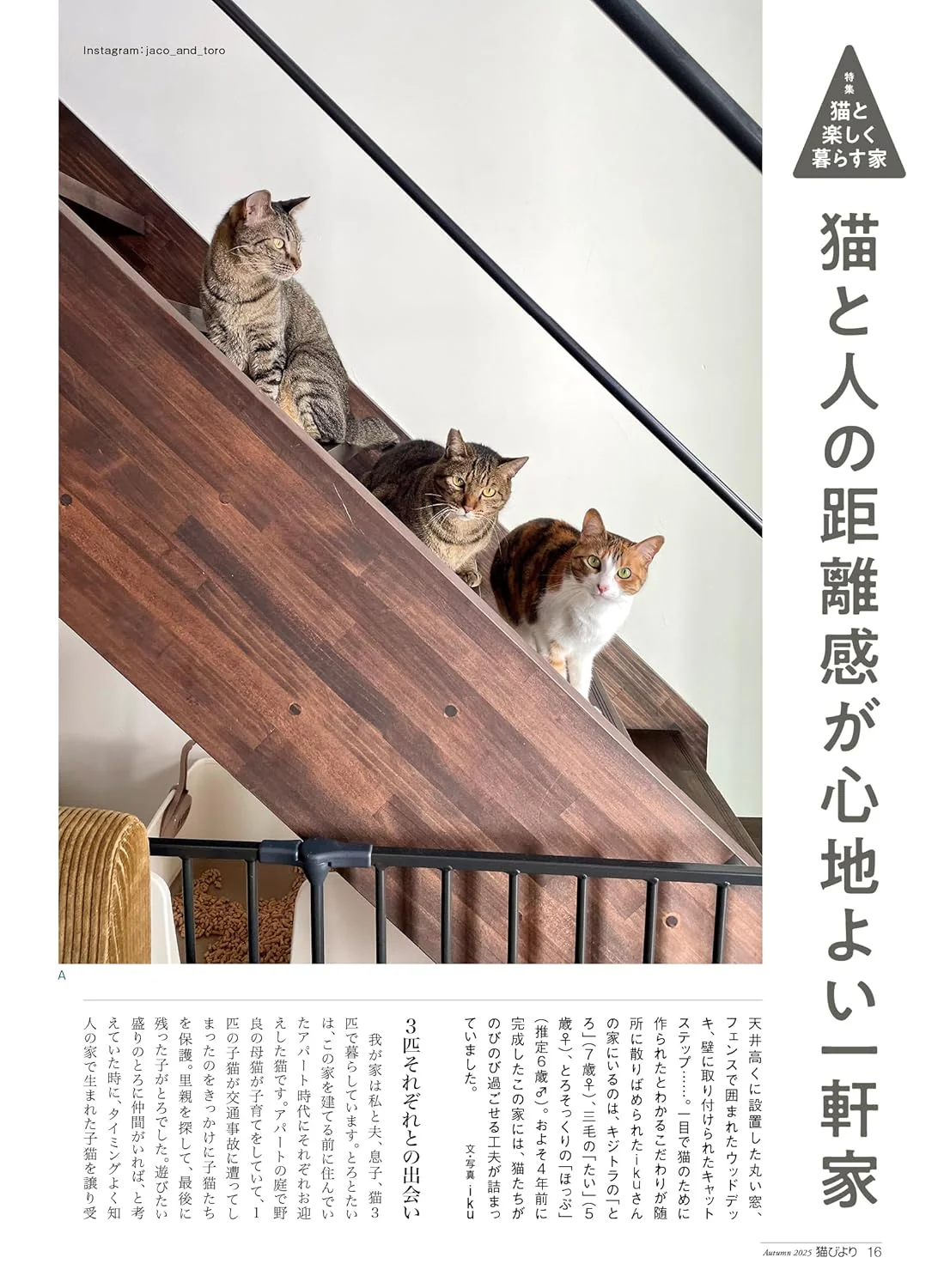 Neko Biyori Autumn 2025 - Image 3