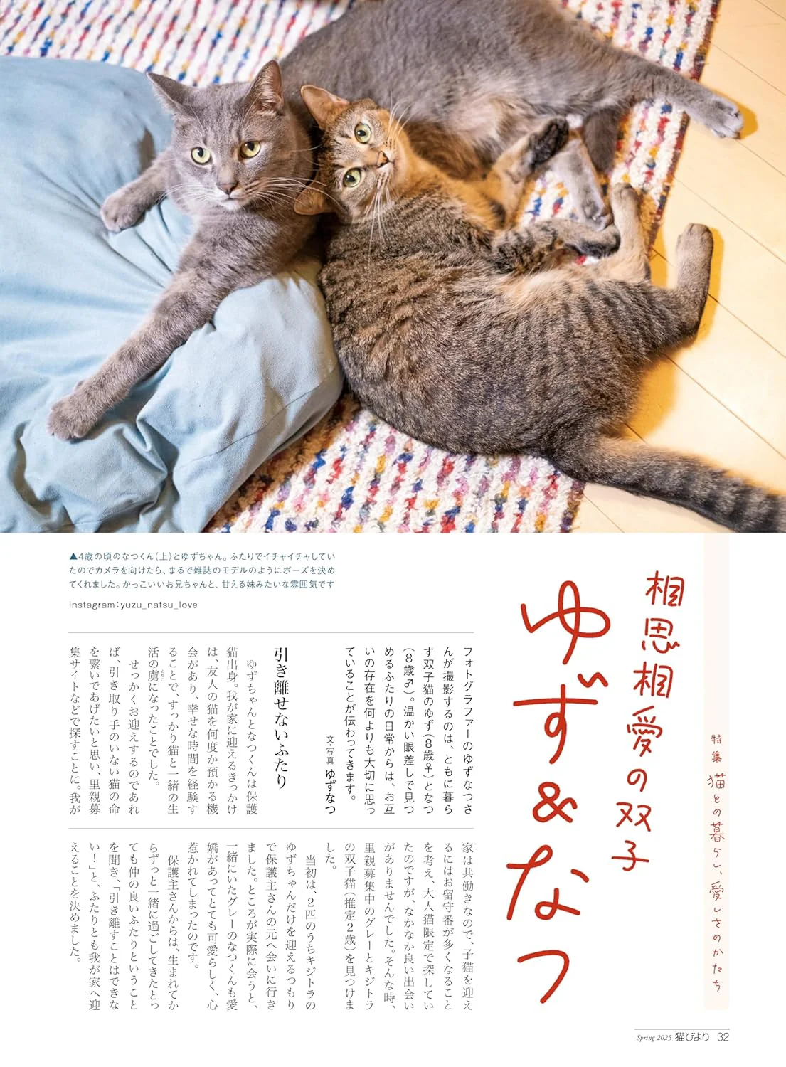 Neko Biyori Spring 2025 - Image 3